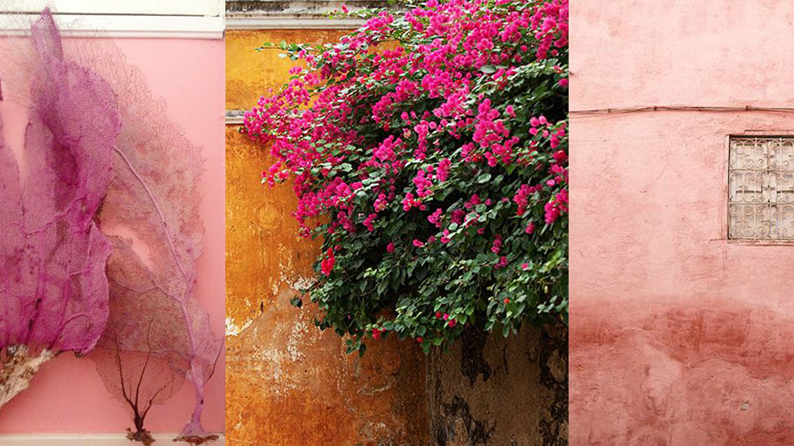 Designing with Color {FUCHSIA}