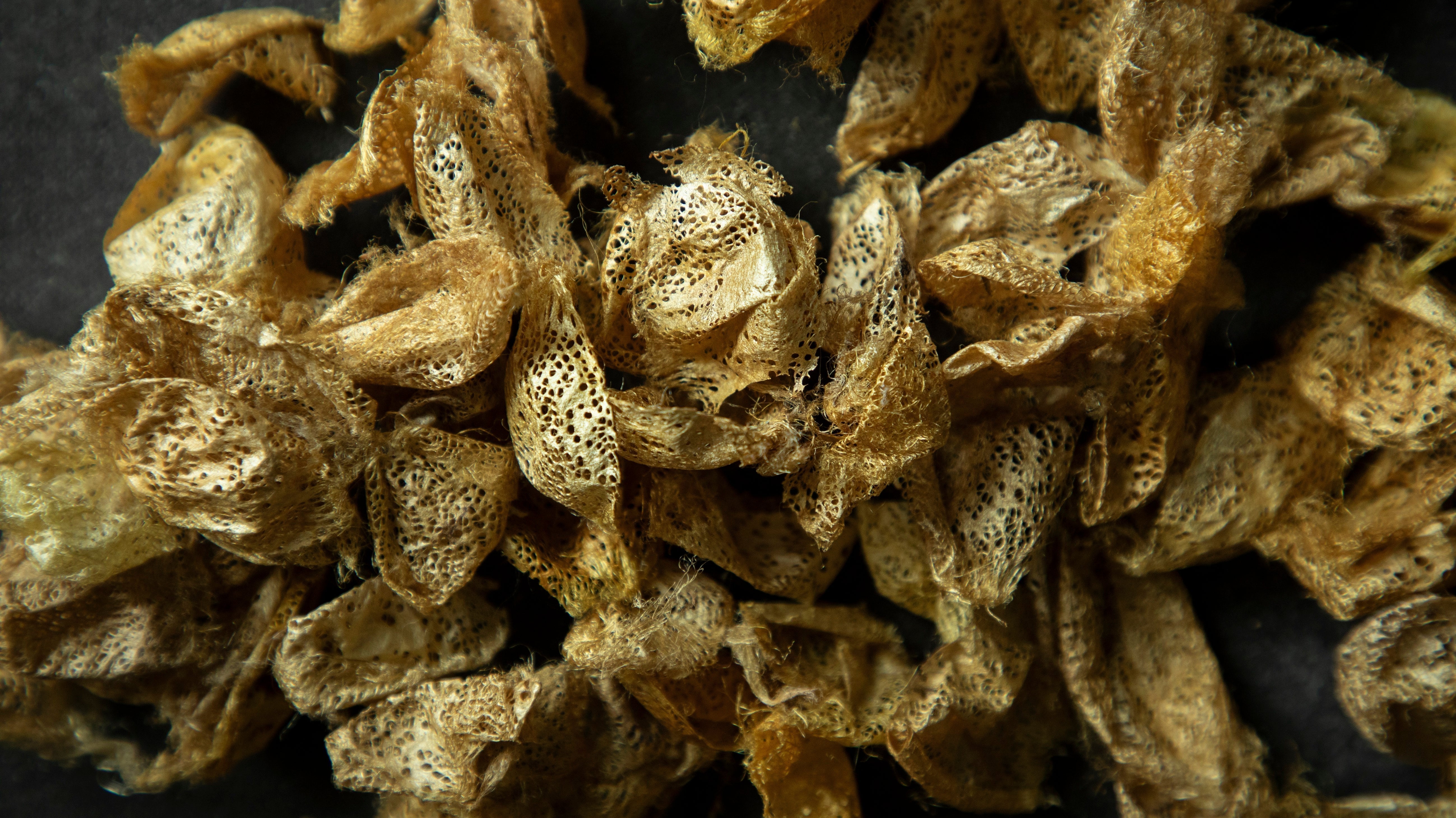 Uncover the Hidden Chemicals in Standard Silk