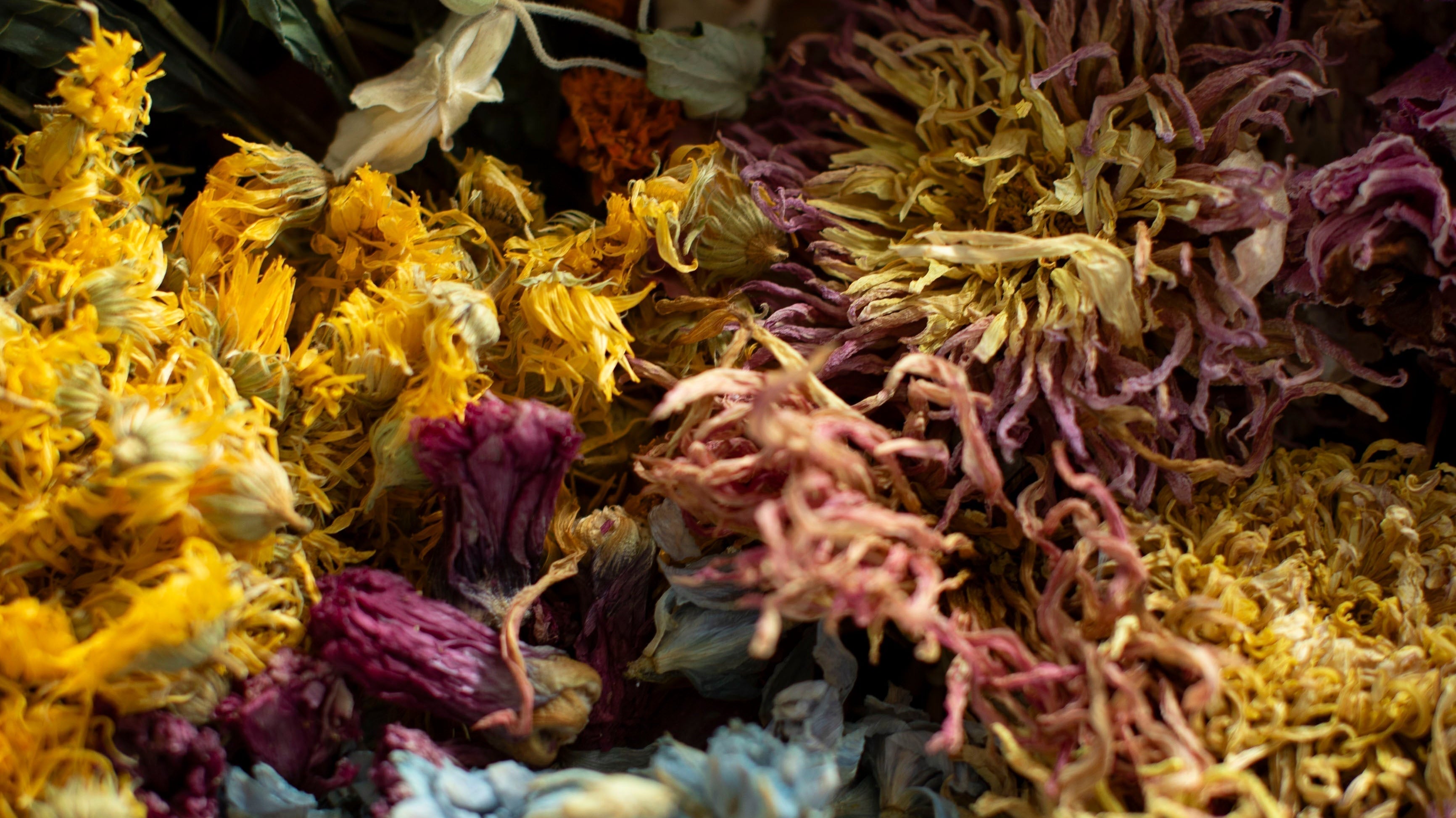 The Hidden Cost of Color: Toxic Chemicals in Conventional Textile Dyes