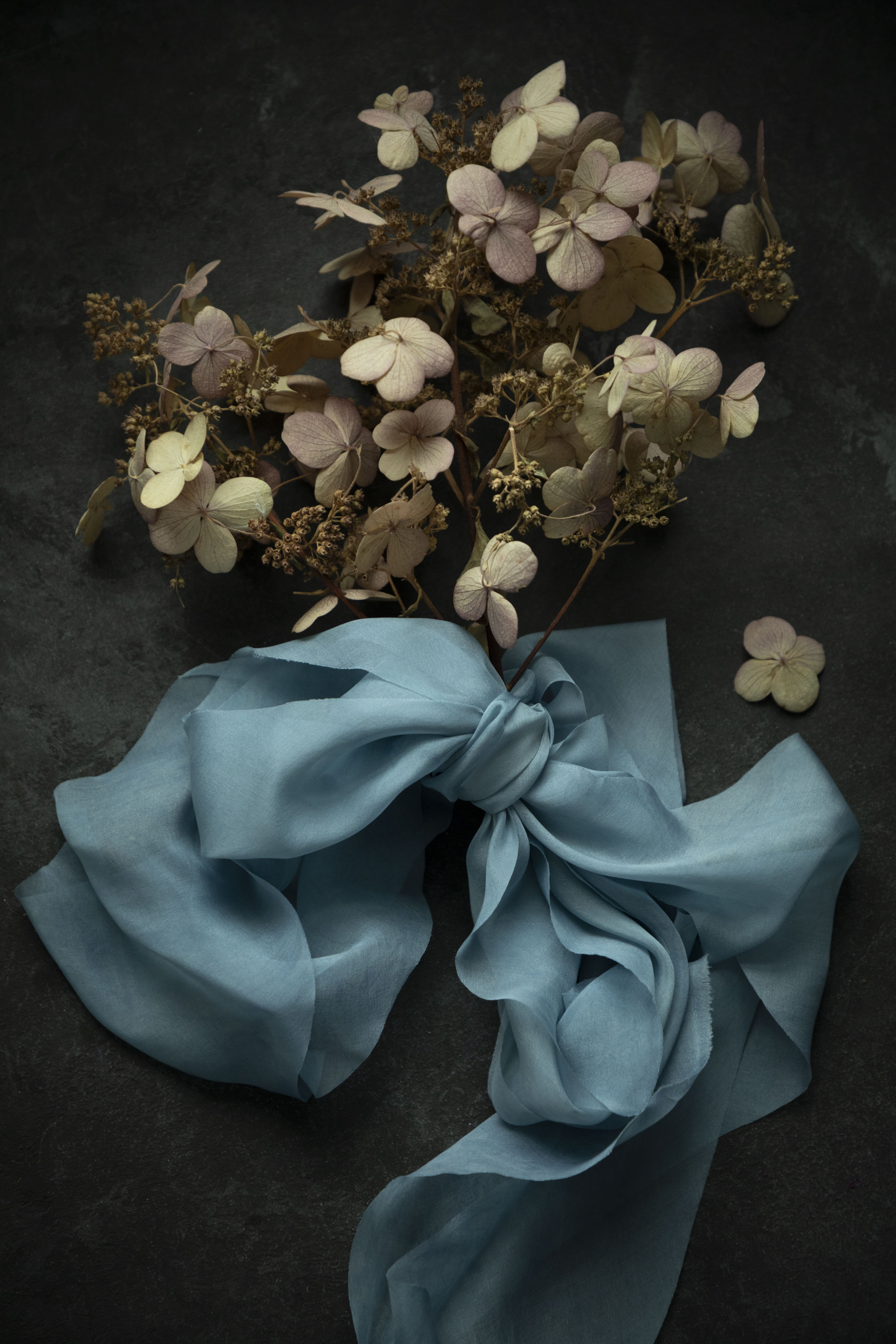 Bouquet of dried flowers with a blue ribbon on a dark surface