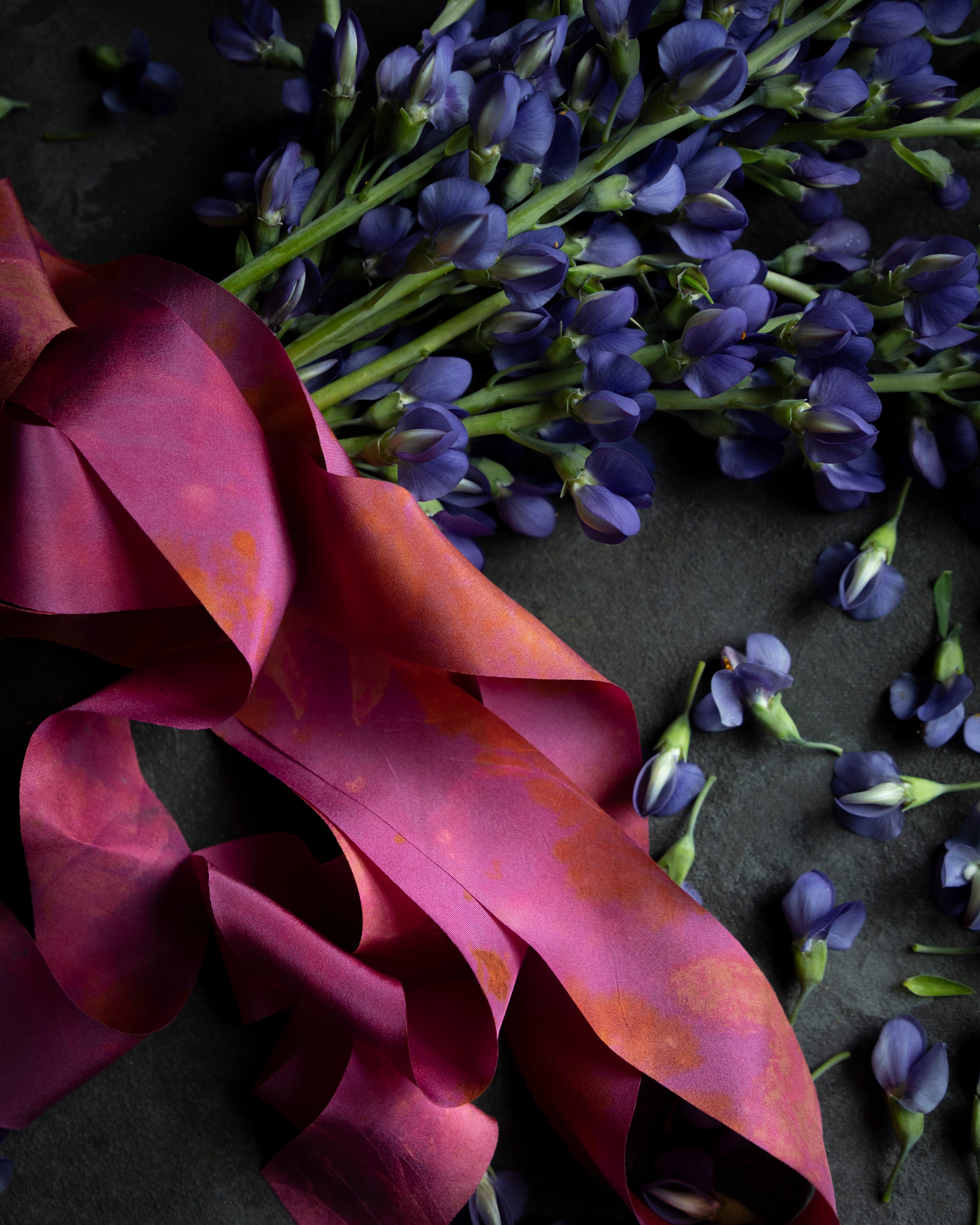 Purple flowers with a pink ribbon on a dark surface