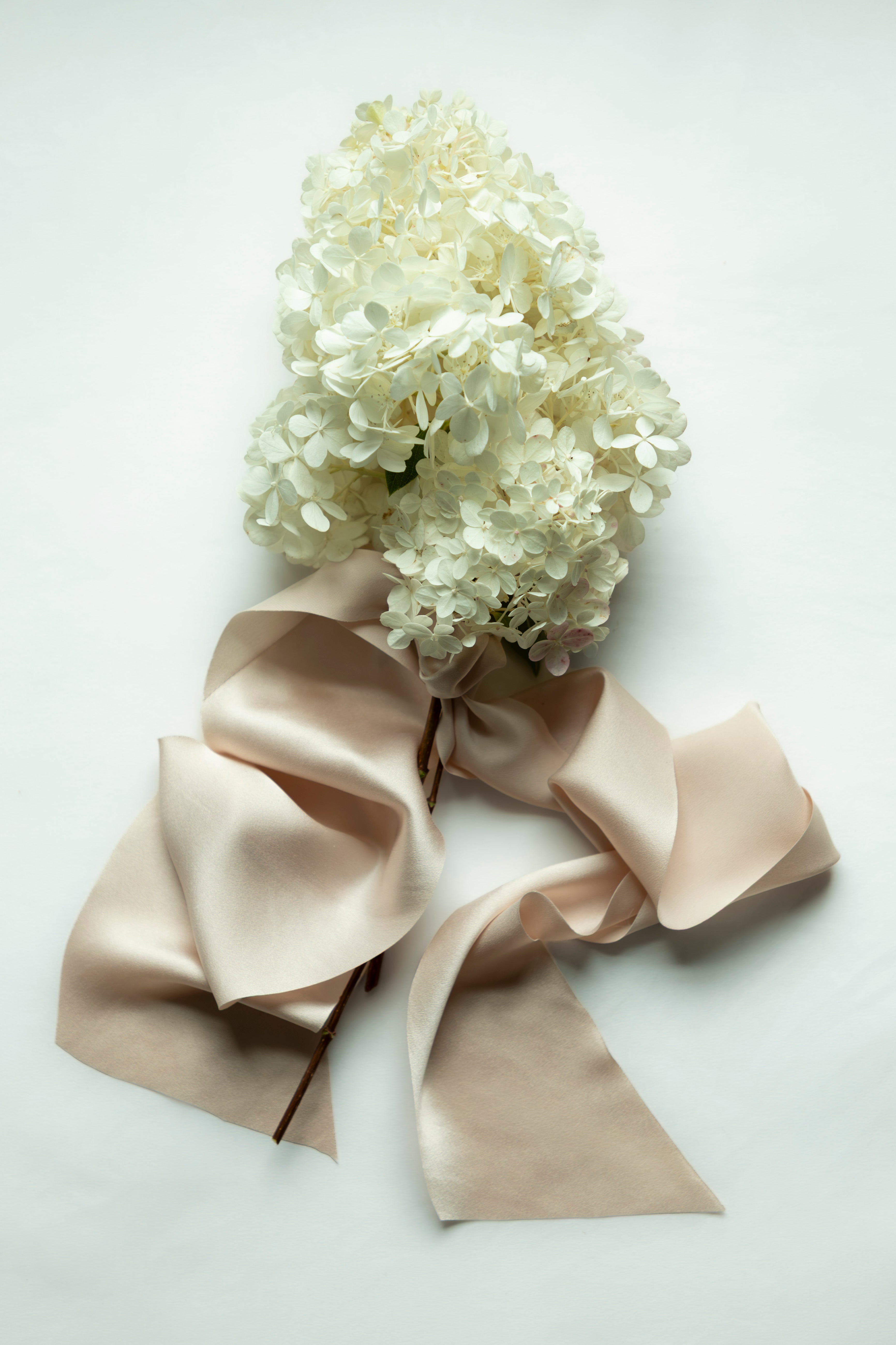 White hydrangea bouquet with a large blush satin ribbon bow, laid flat on a light background.