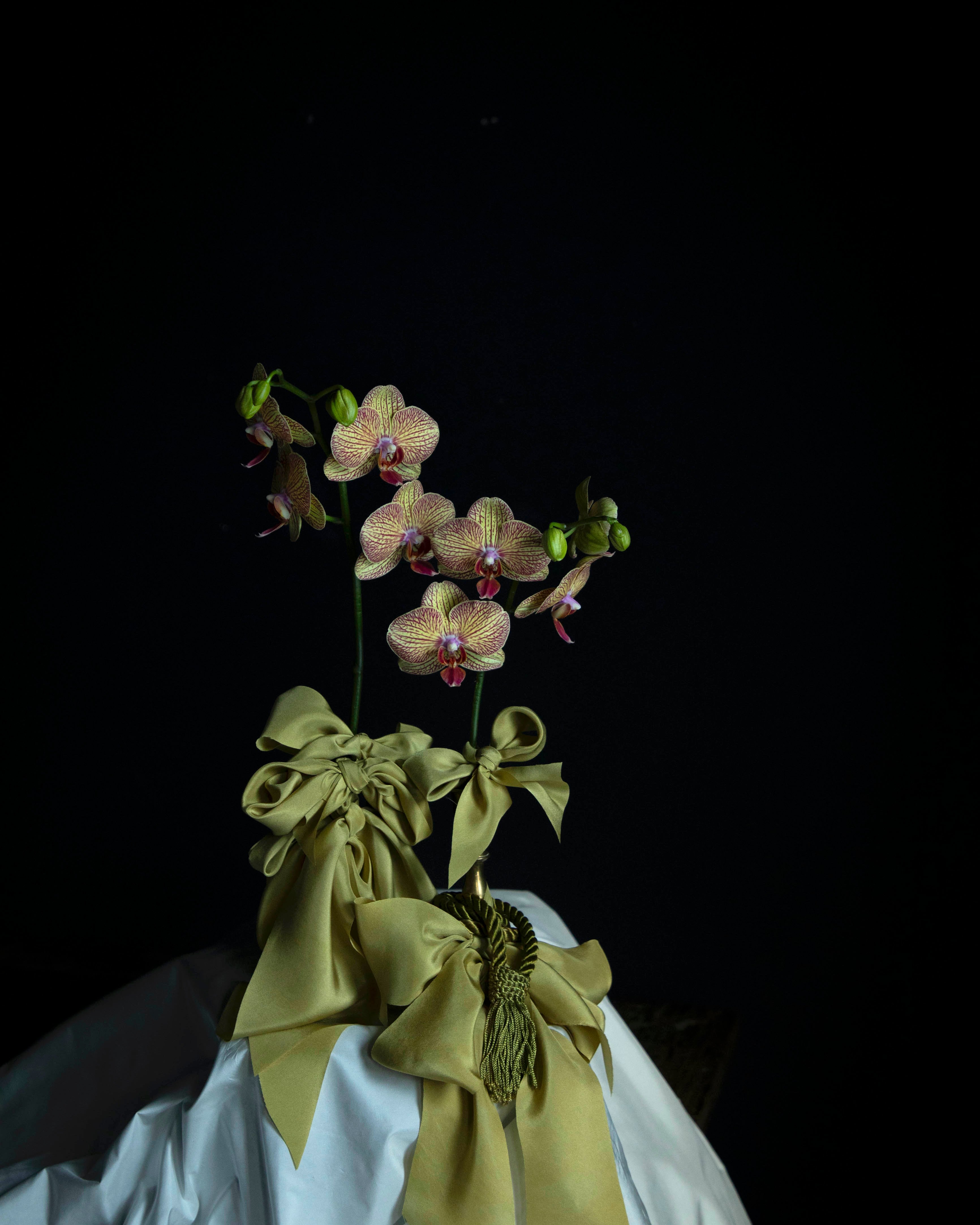 orchid flowers tied with Chartreuse green silk ribbon bows in a wedding centerpiece on white silk taffeta tablescape
