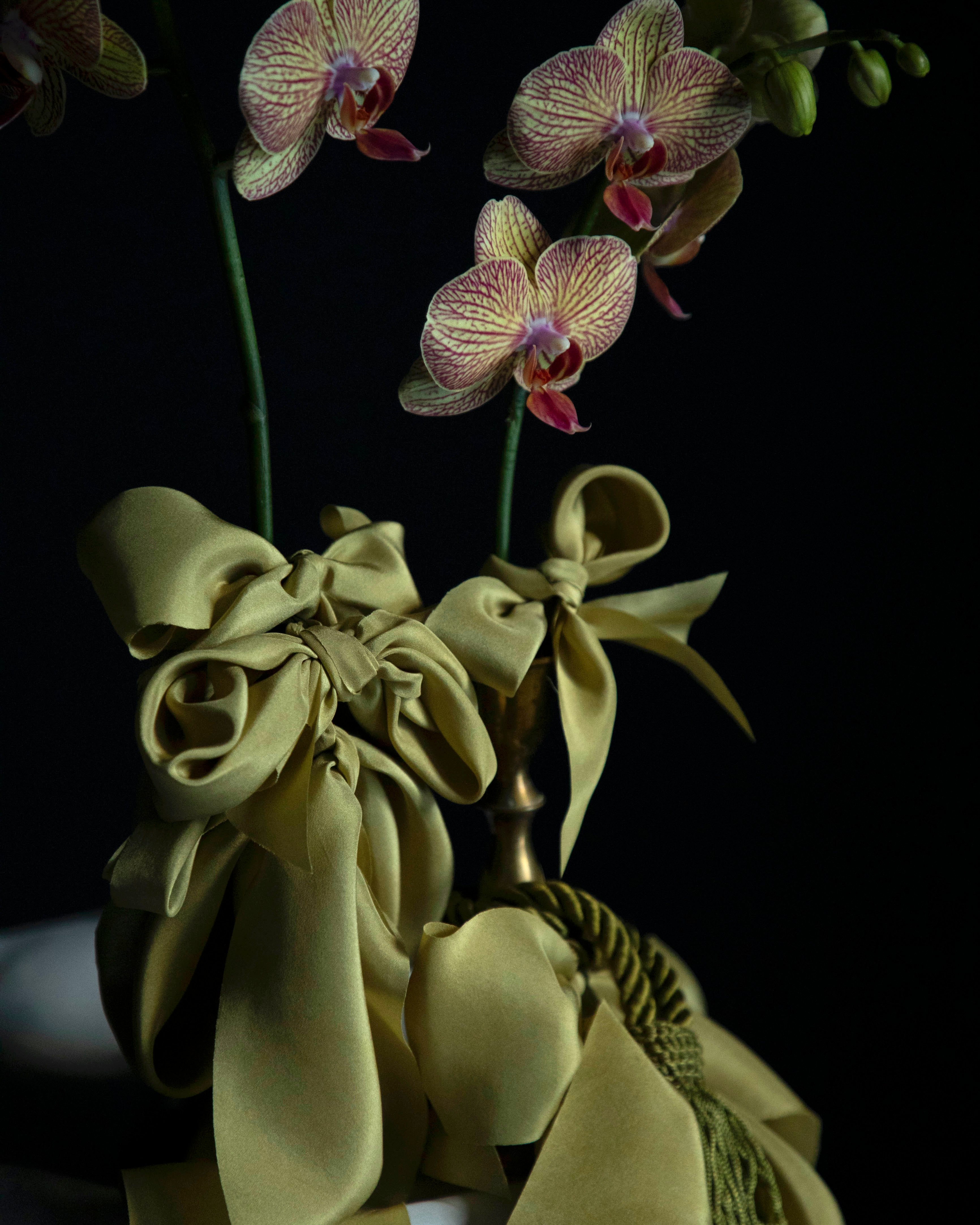 Orchid flowers wrapped in Chartreuse green ribbons with a dark background