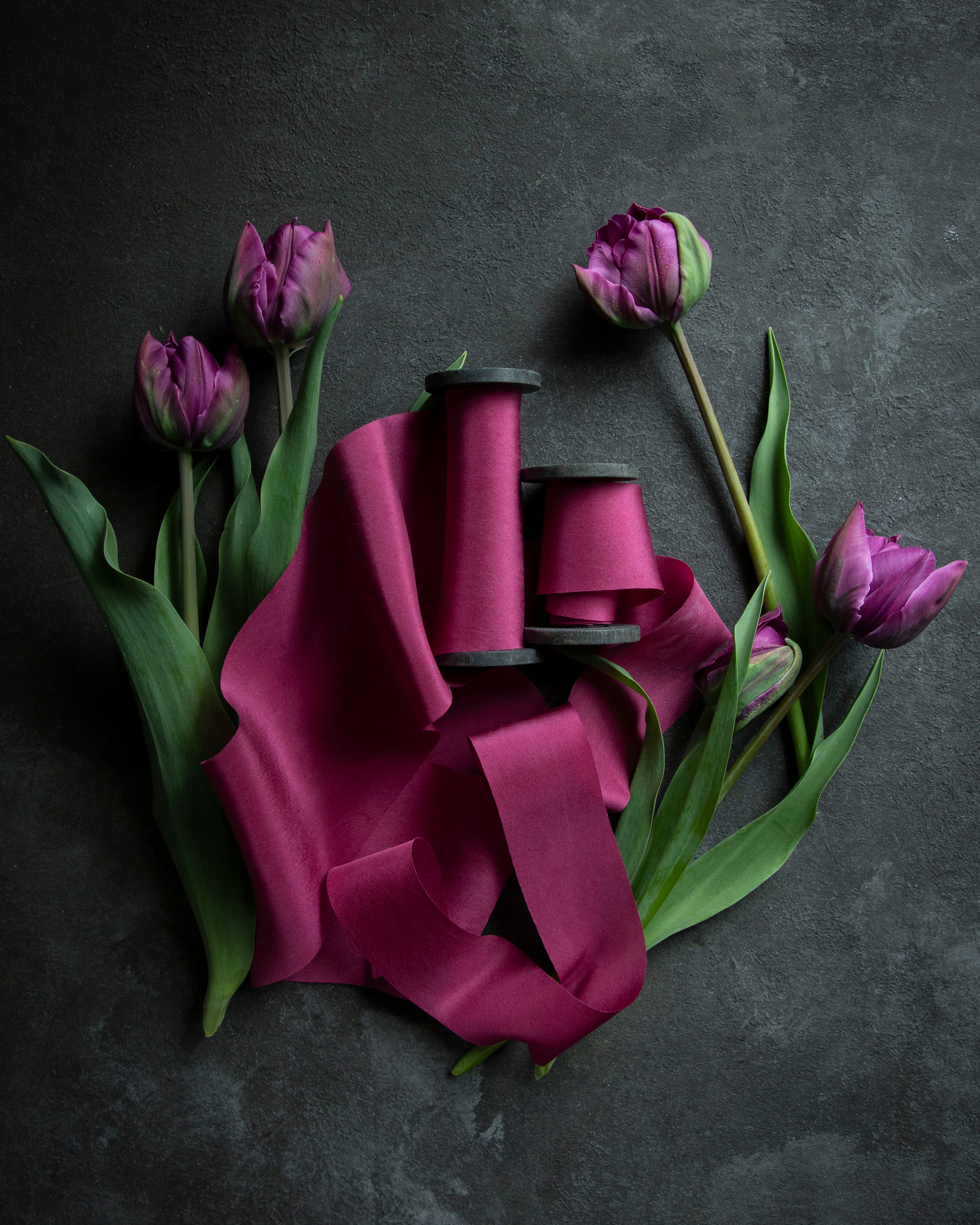 hot pink silk ribbon on a moody black background with purple tulip flowers