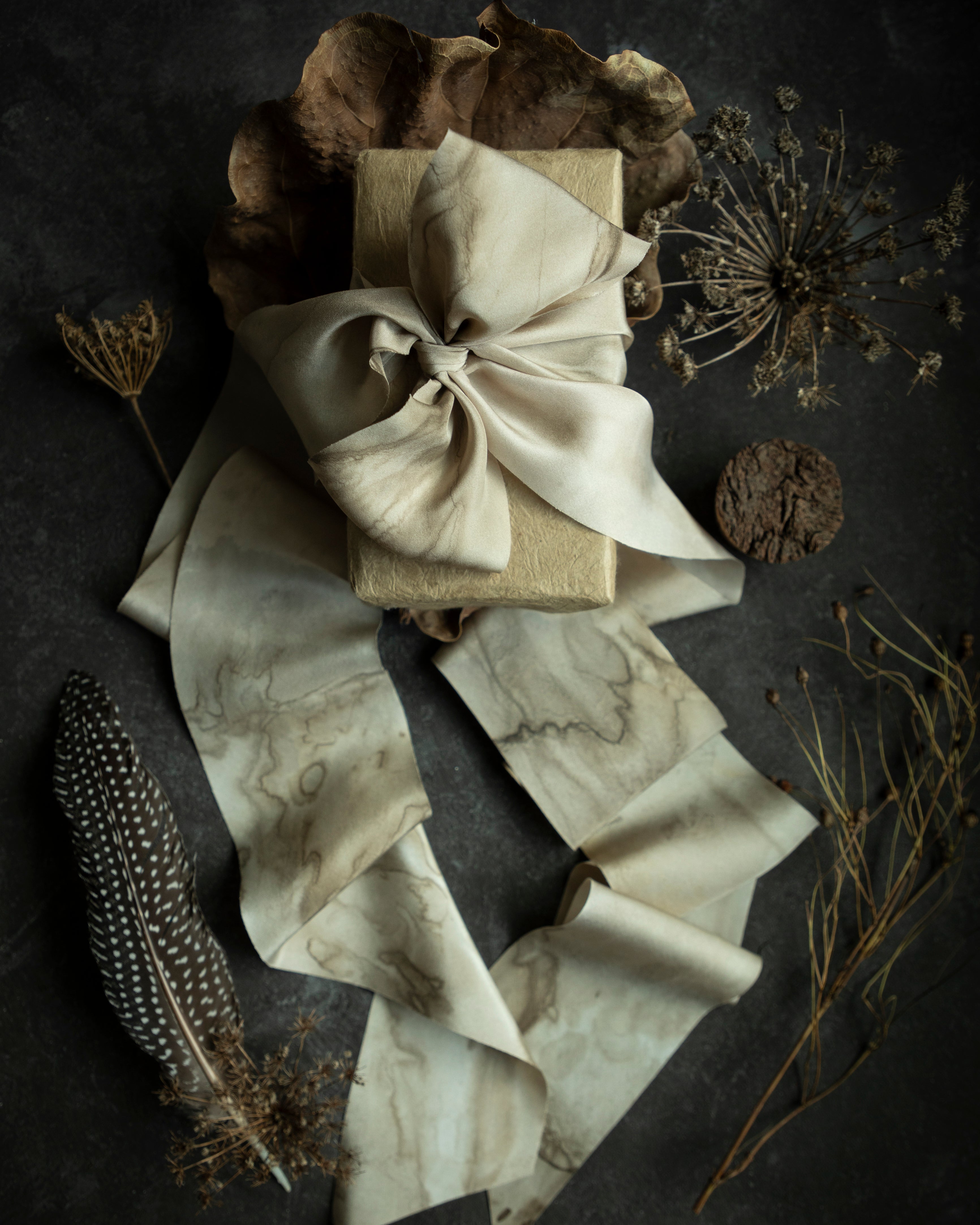 A silk ribbon with woodgrain-like tones in creamy tans, champagne, and rich chocolate, displayed on a dark background alongside walnut husks and dried plants.