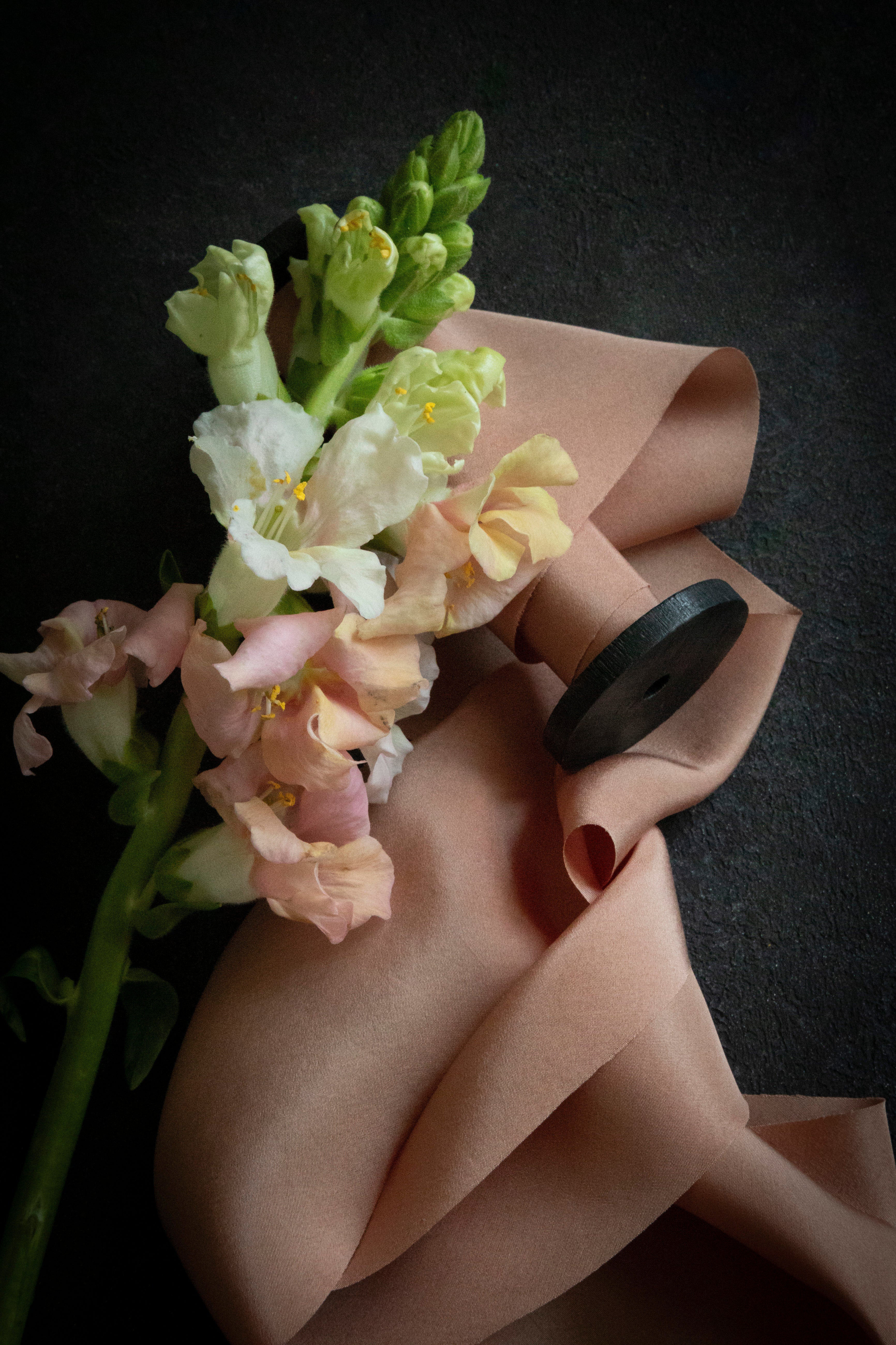 bellini silk ribbon naturally hand dyed by silk and willow