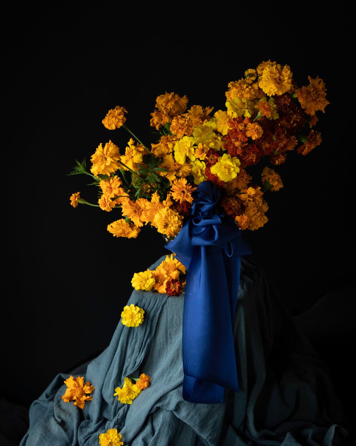 A dramatic studio still life of a large bouquet of marigold flowers in yellow, orange, and brown, tied with a dark blue ribbon and draped over a blue-gray fabric against a solid black background.