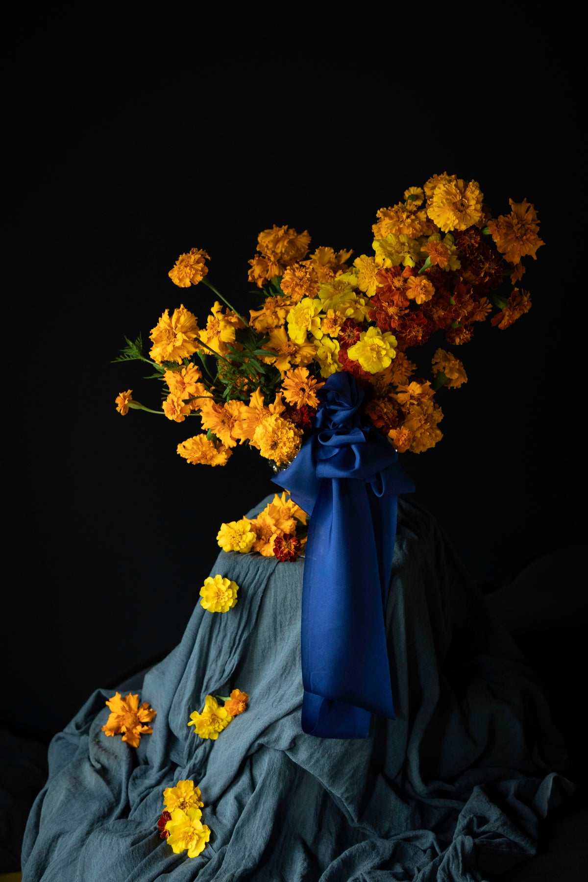 A dramatic studio still life of a large bouquet of marigold flowers in yellow, orange, and brown, tied with a dark blue ribbon and draped over a blue-gray fabric against a solid black background.