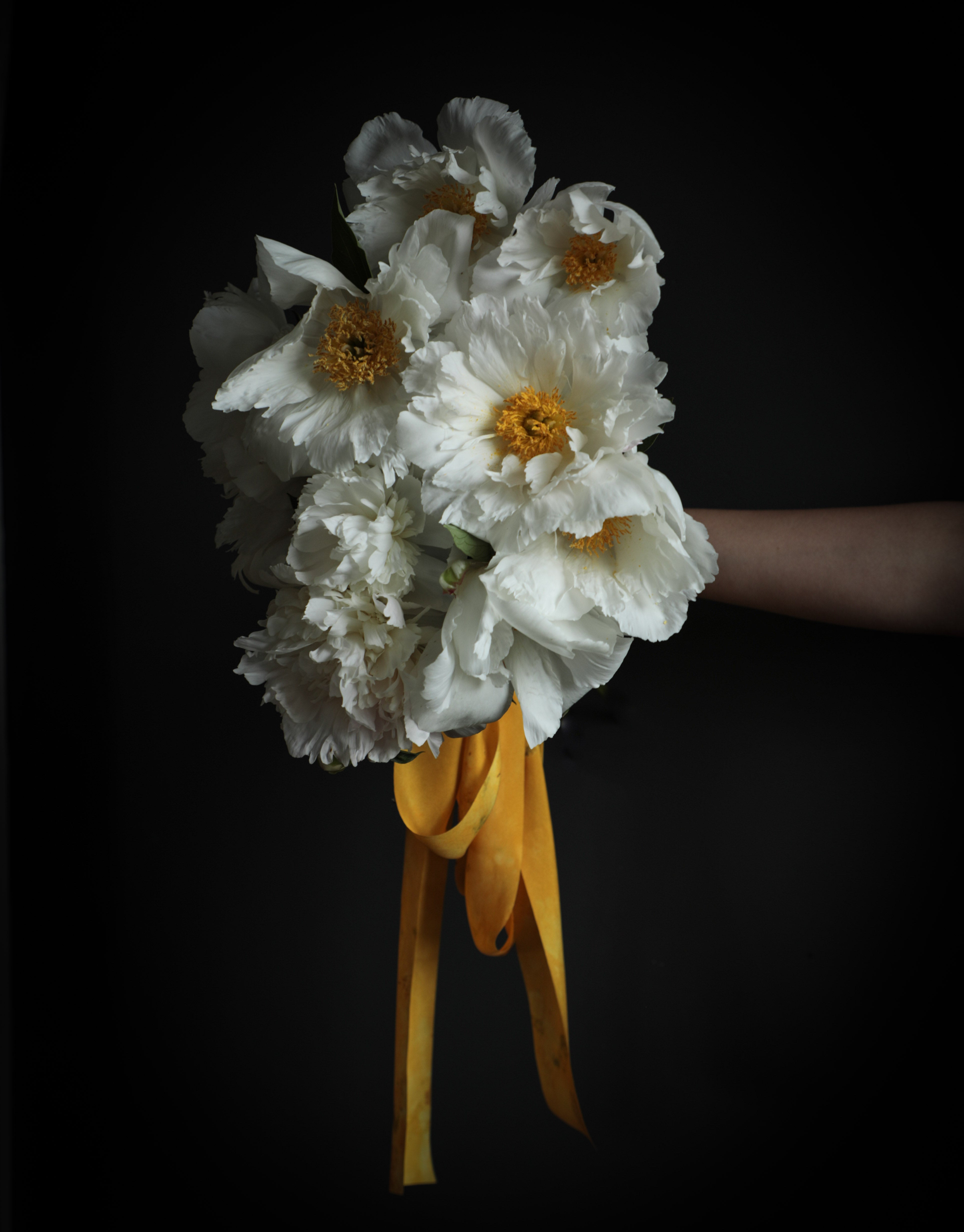 Bouquet of white flowers with yellow centers held against a dark background with draping yellow silk ribbon