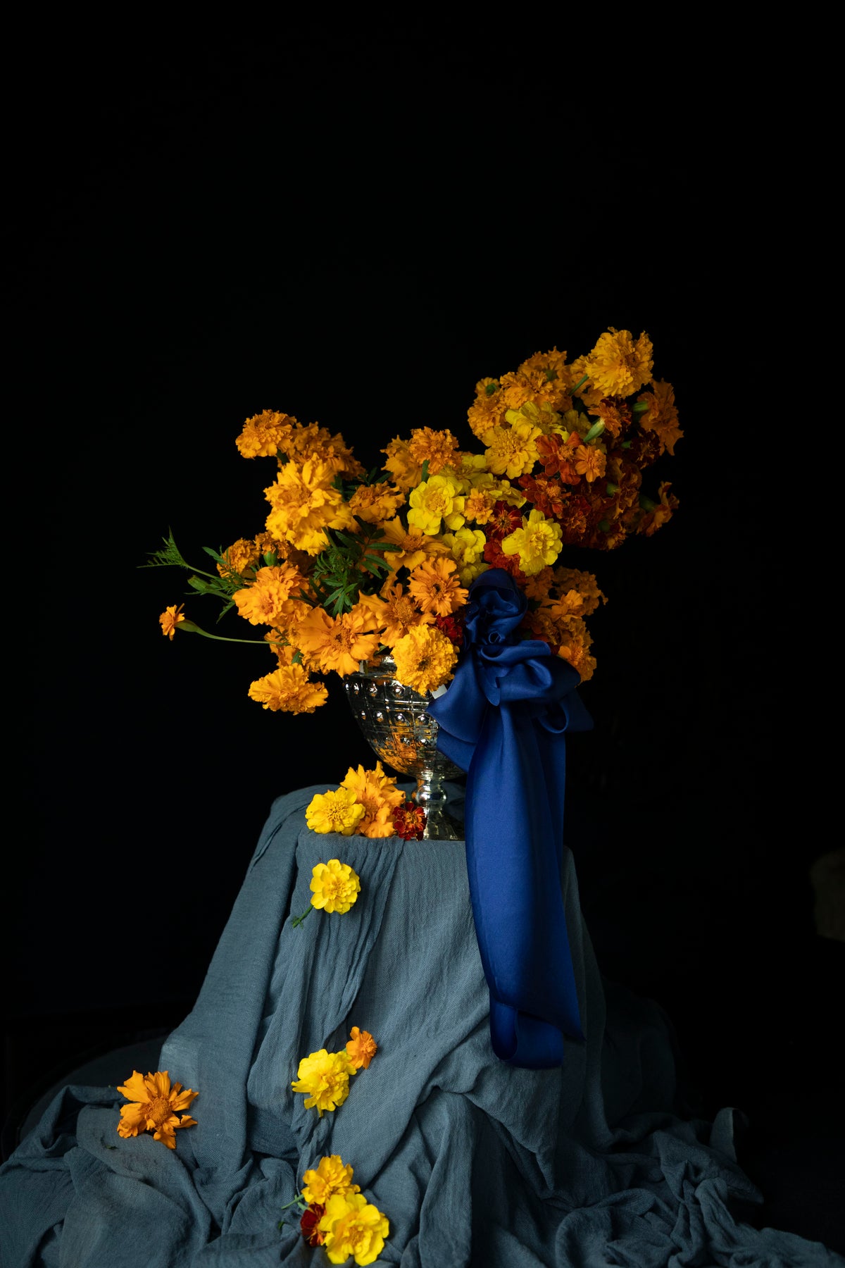 A dramatic still life of a large bouquet of yellow and orange marigolds in a silver vase, draped with a Silk & Willow Cobalt blue hand-dyed silk ribbon and set against a solid black background.