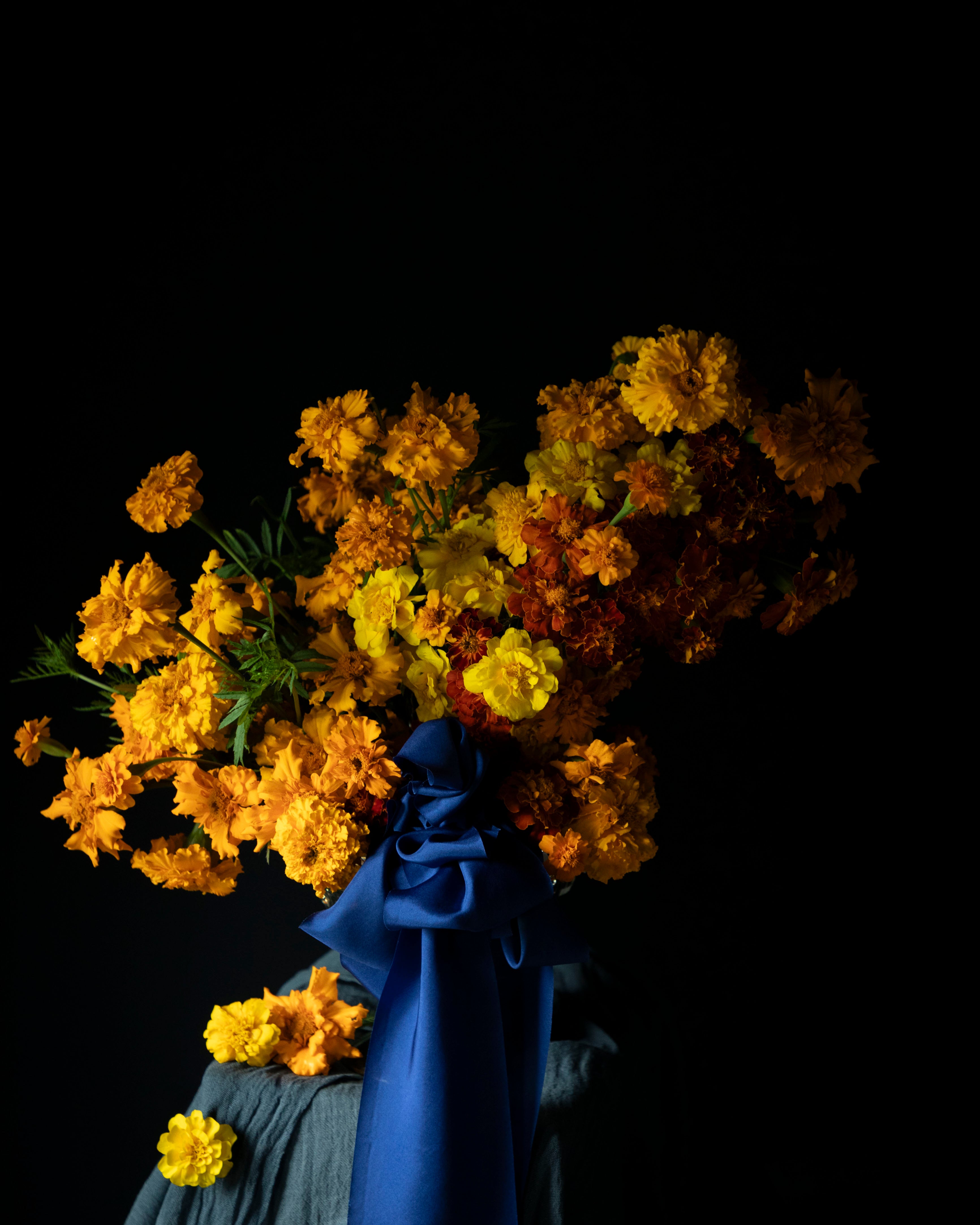 A dramatic still life of a large bouquet of yellow and orange marigolds in a silver vase, draped with a Silk & Willow Cobalt blue hand-dyed silk ribbon and set against a solid black background.