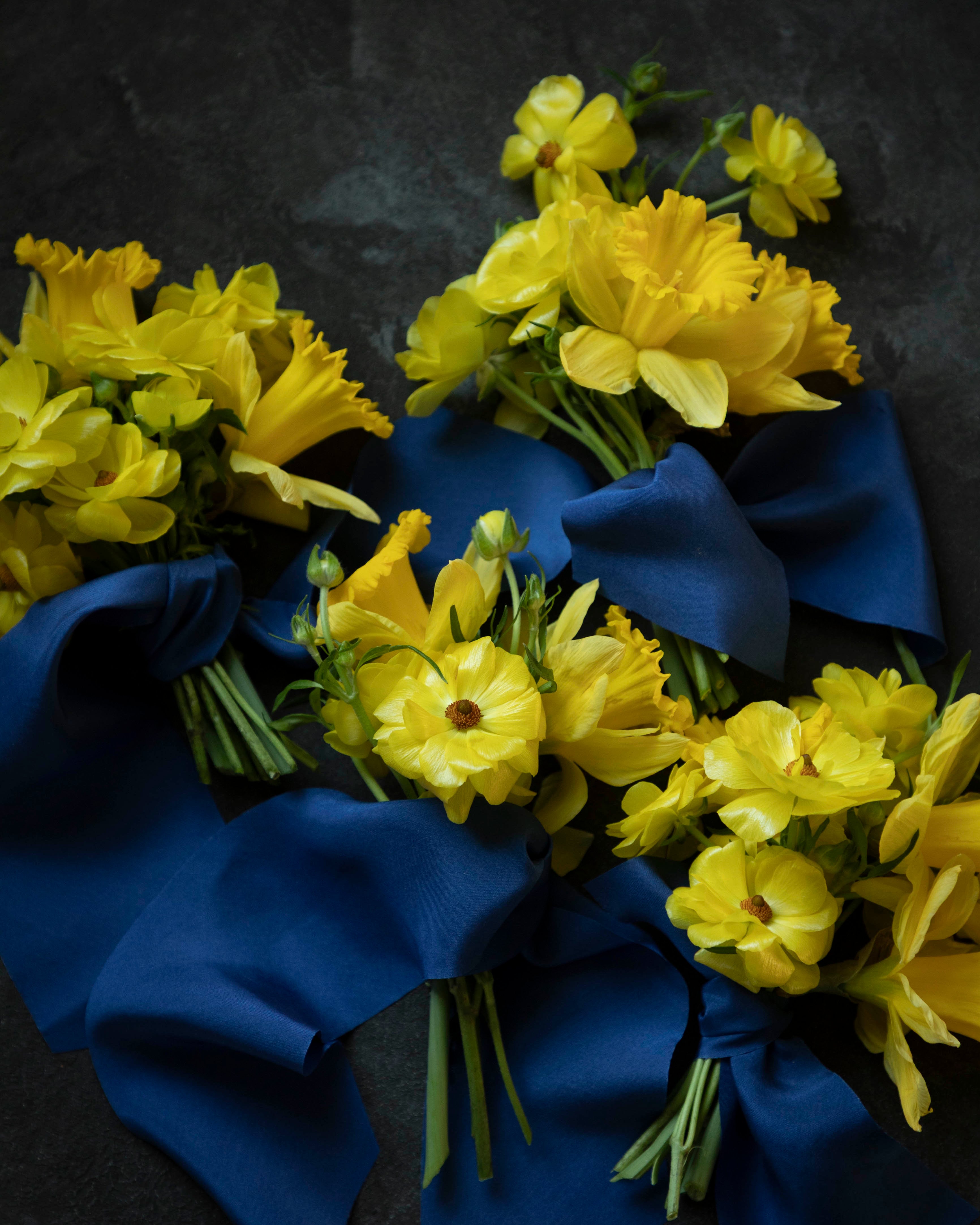 Yellow flowers with cobalt blue ribbons on a dark background