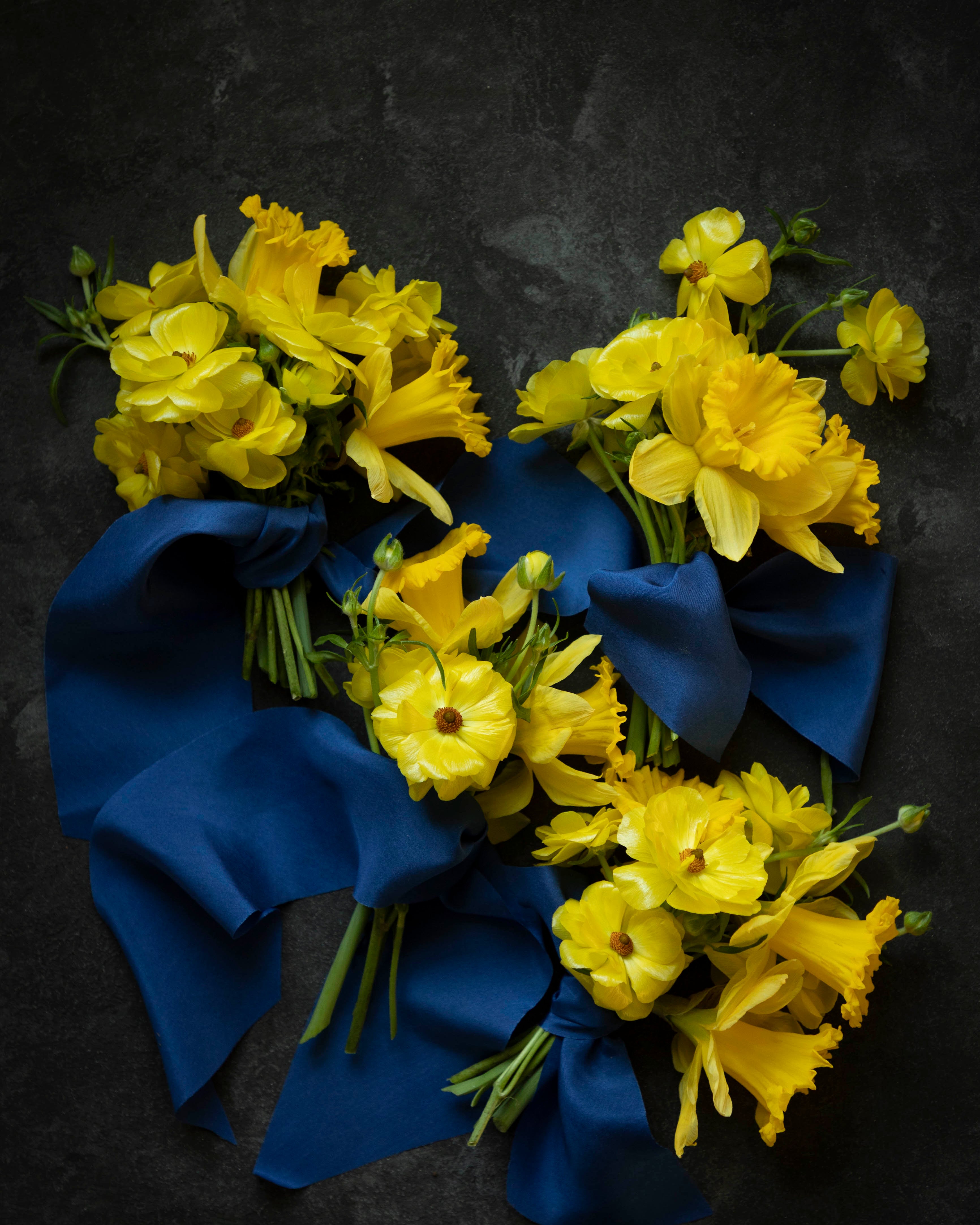 Yellow flowers with blue ribbons on a dark background