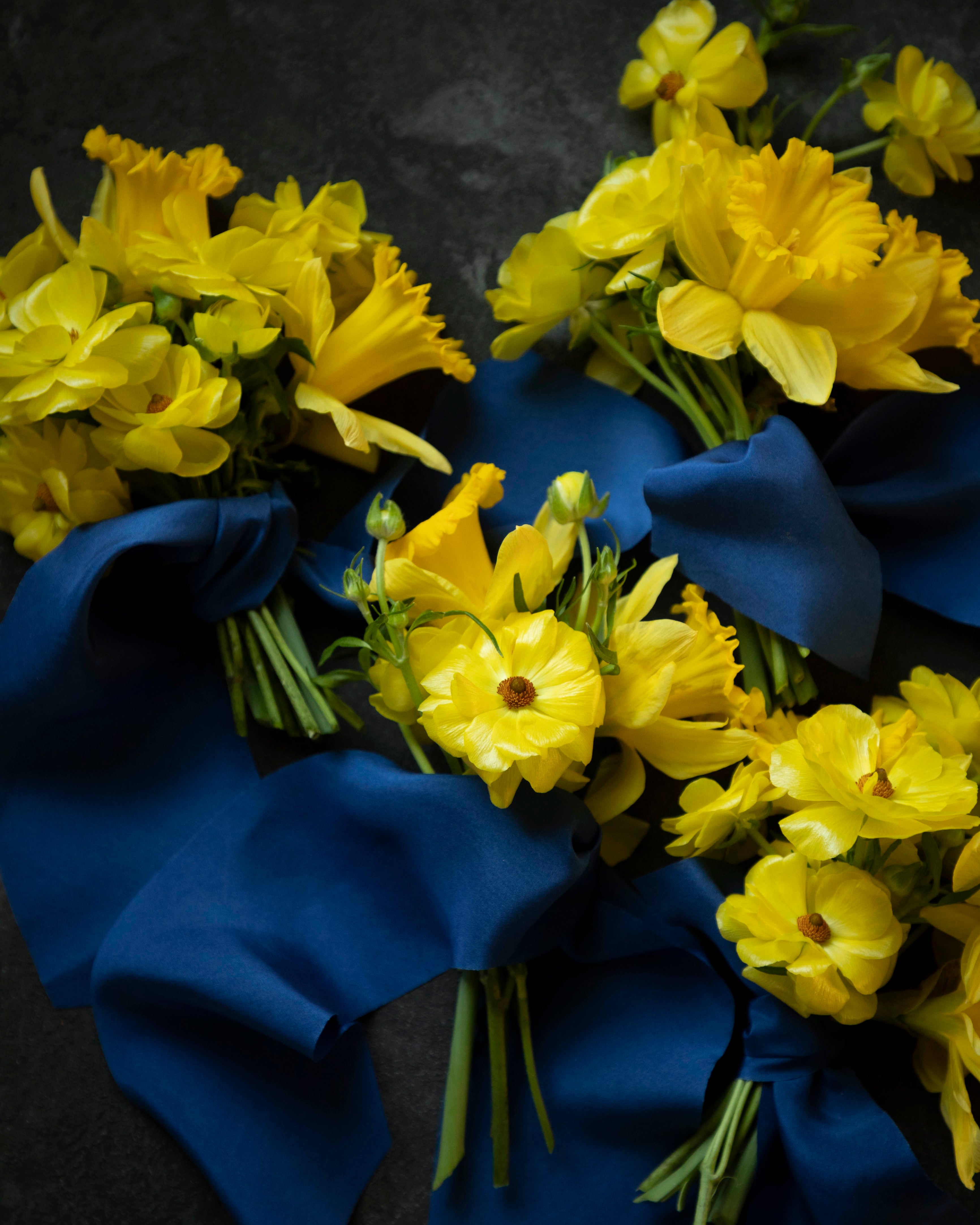 Yellow flowers with blue ribbons on a dark background