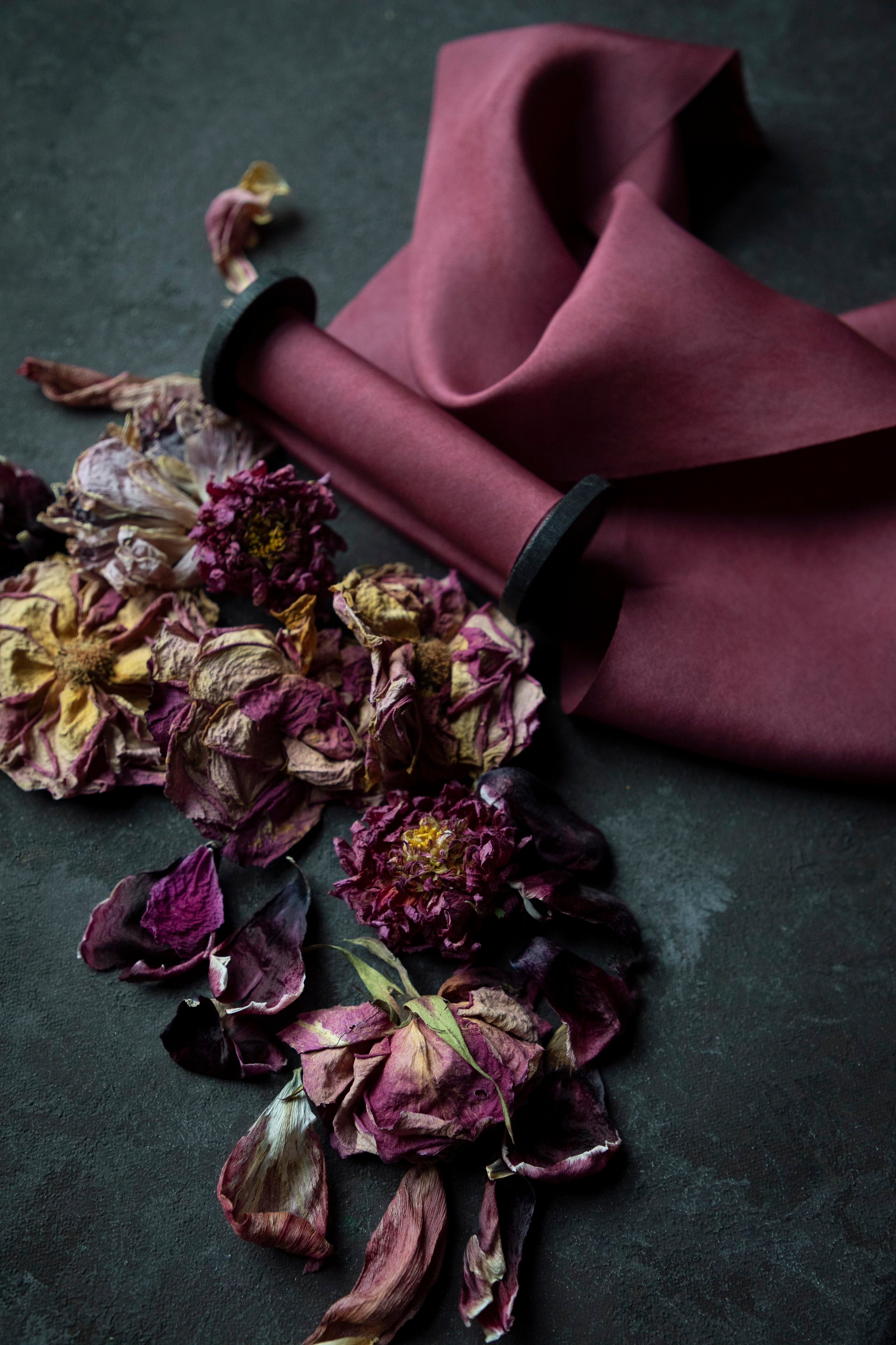 Dried flowers and a pink silk ribbon on a dark surface