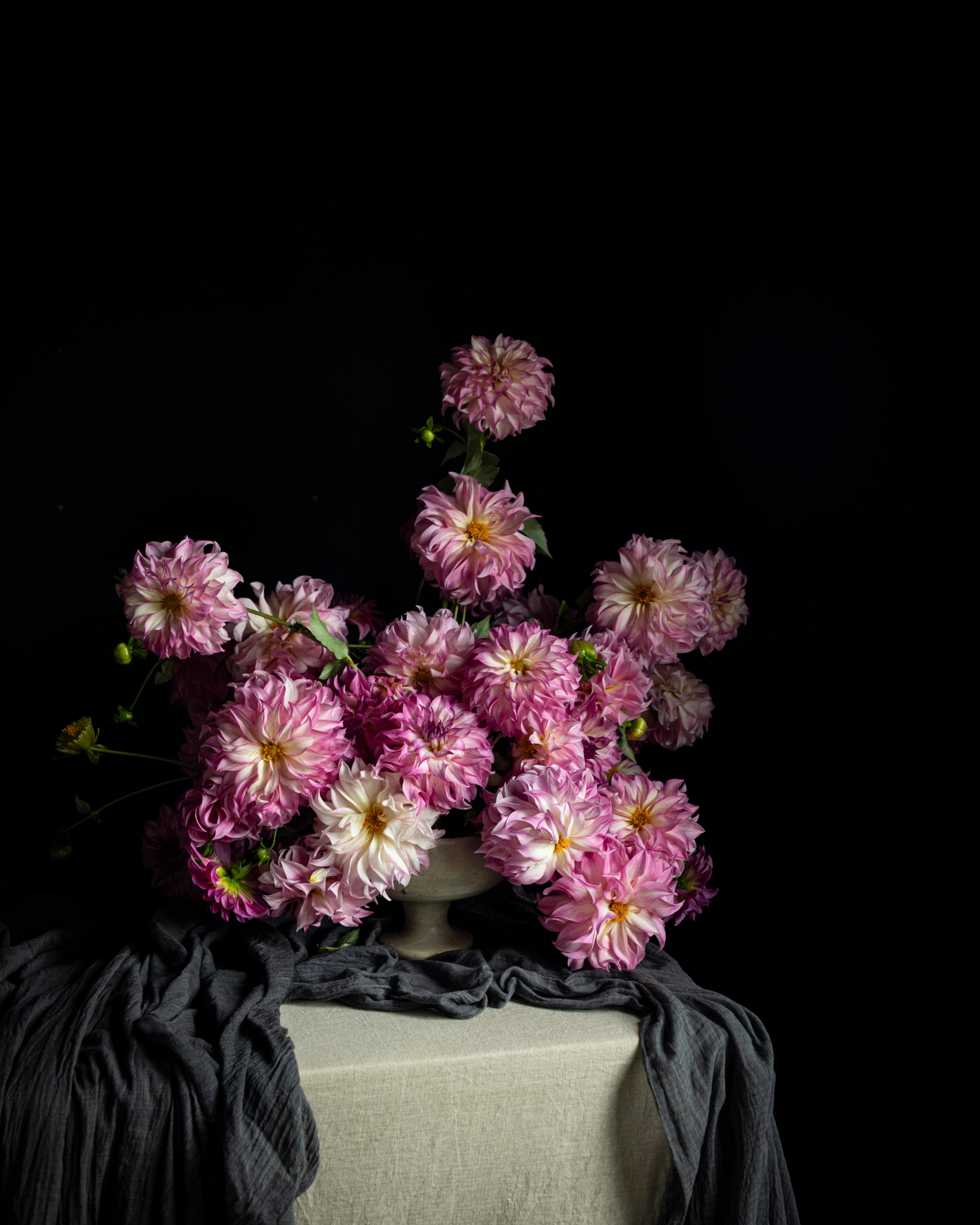 A bouquet of pink and white dahlia flowers arranged in a ceramic vase on a draped with dark gray textiles on a table against a solid black background.