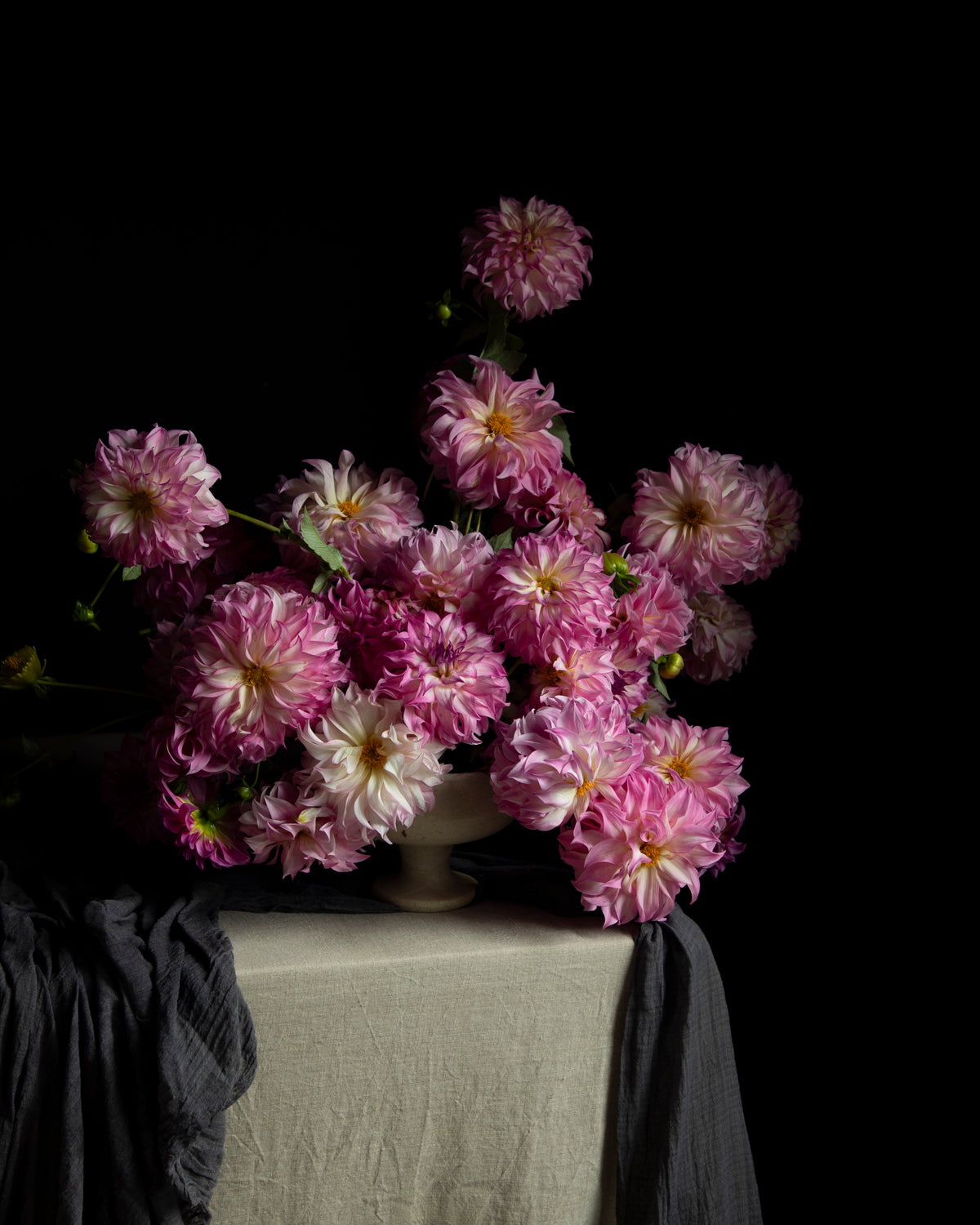A still life arrangement of pink and white dahlia flowers in a ceramic vase on a draped table against a solid black background.