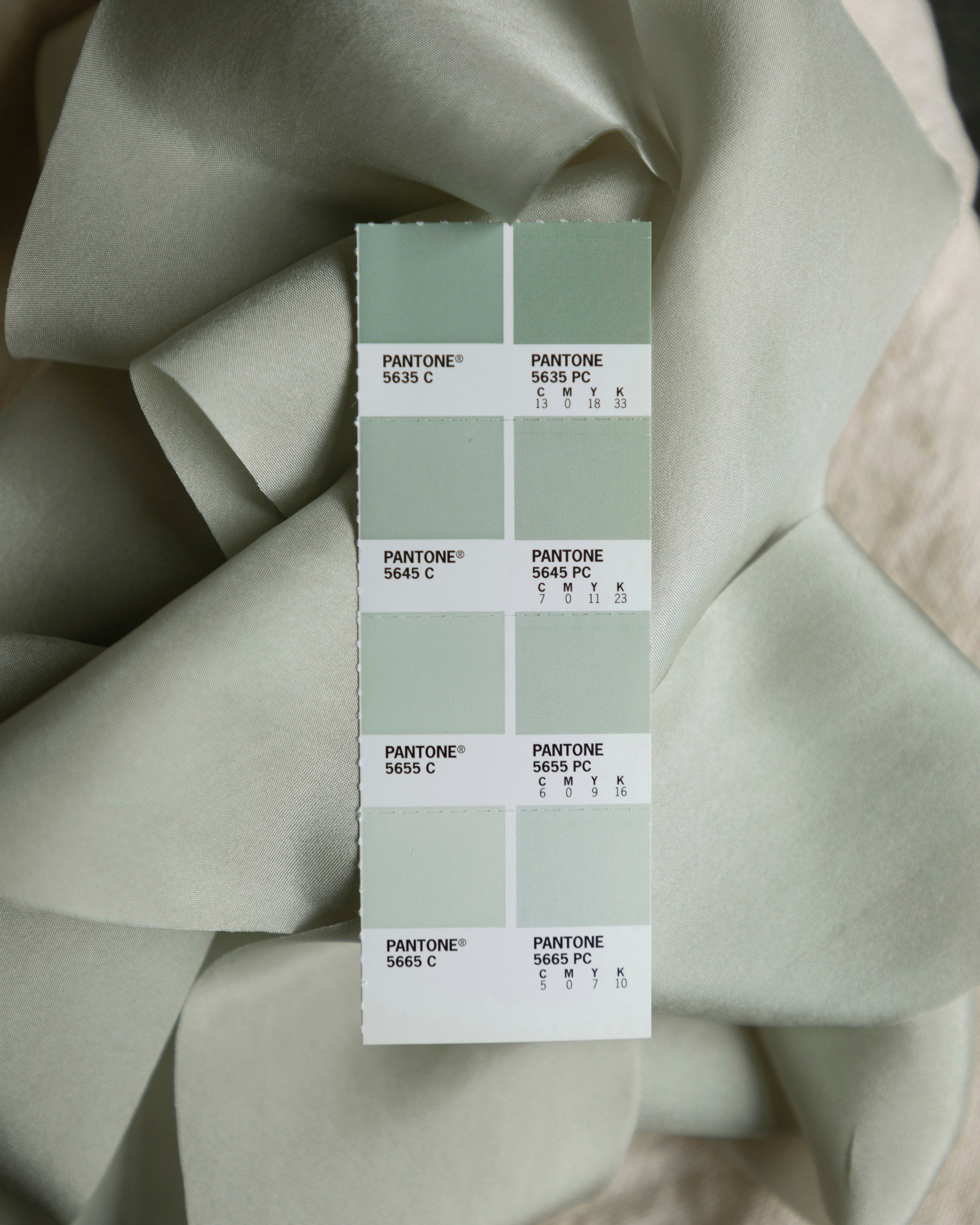 wedding colors Pantone 5665