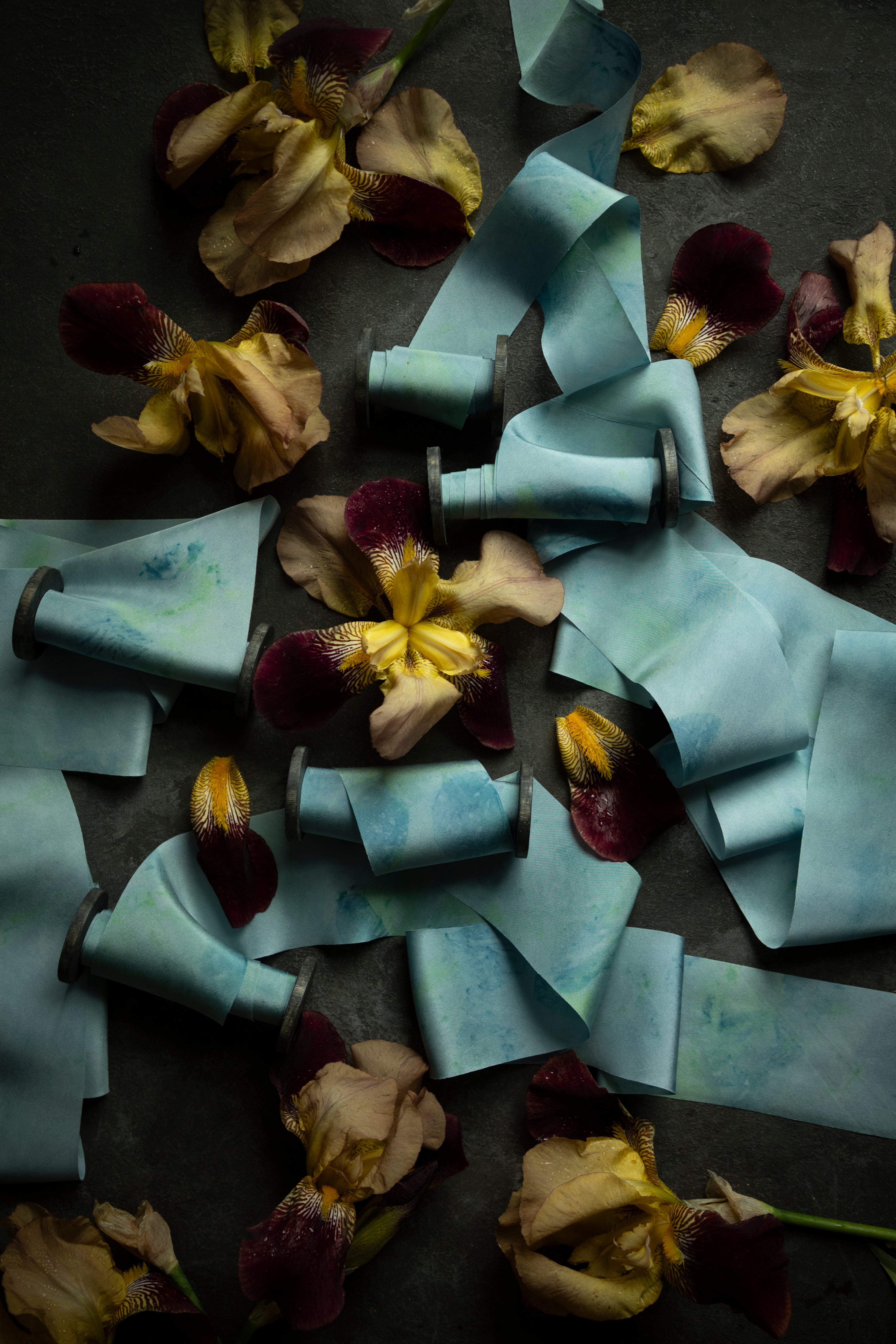 Rolled-up ribbon with dried flowers on a dark surface