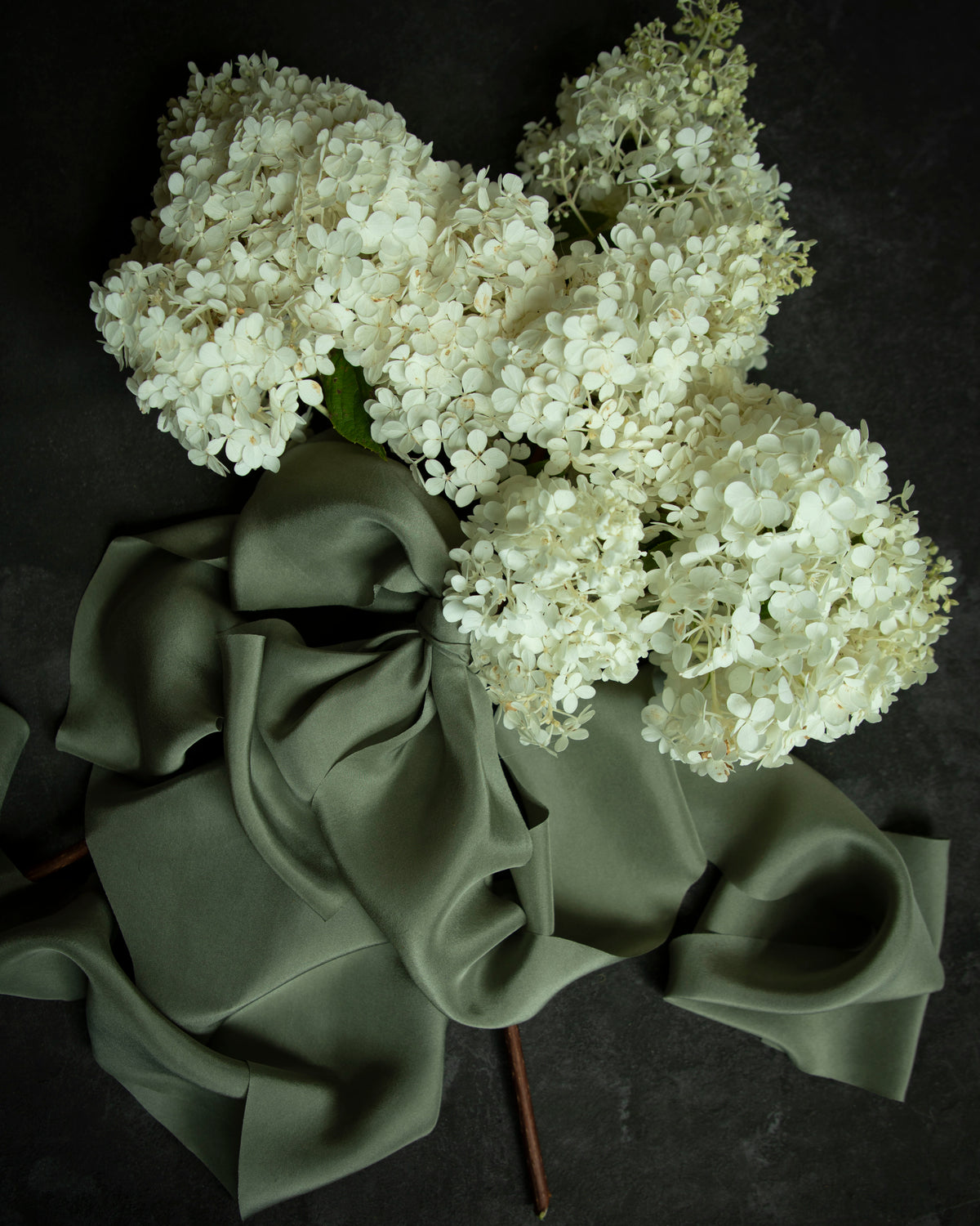 White hydrangea flowers with a green satin ribbon on a dark background