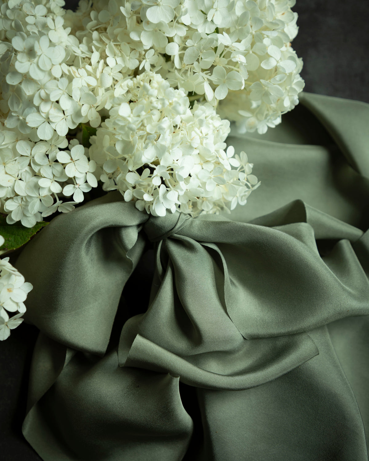 White flowers with a large green bow on a dark background