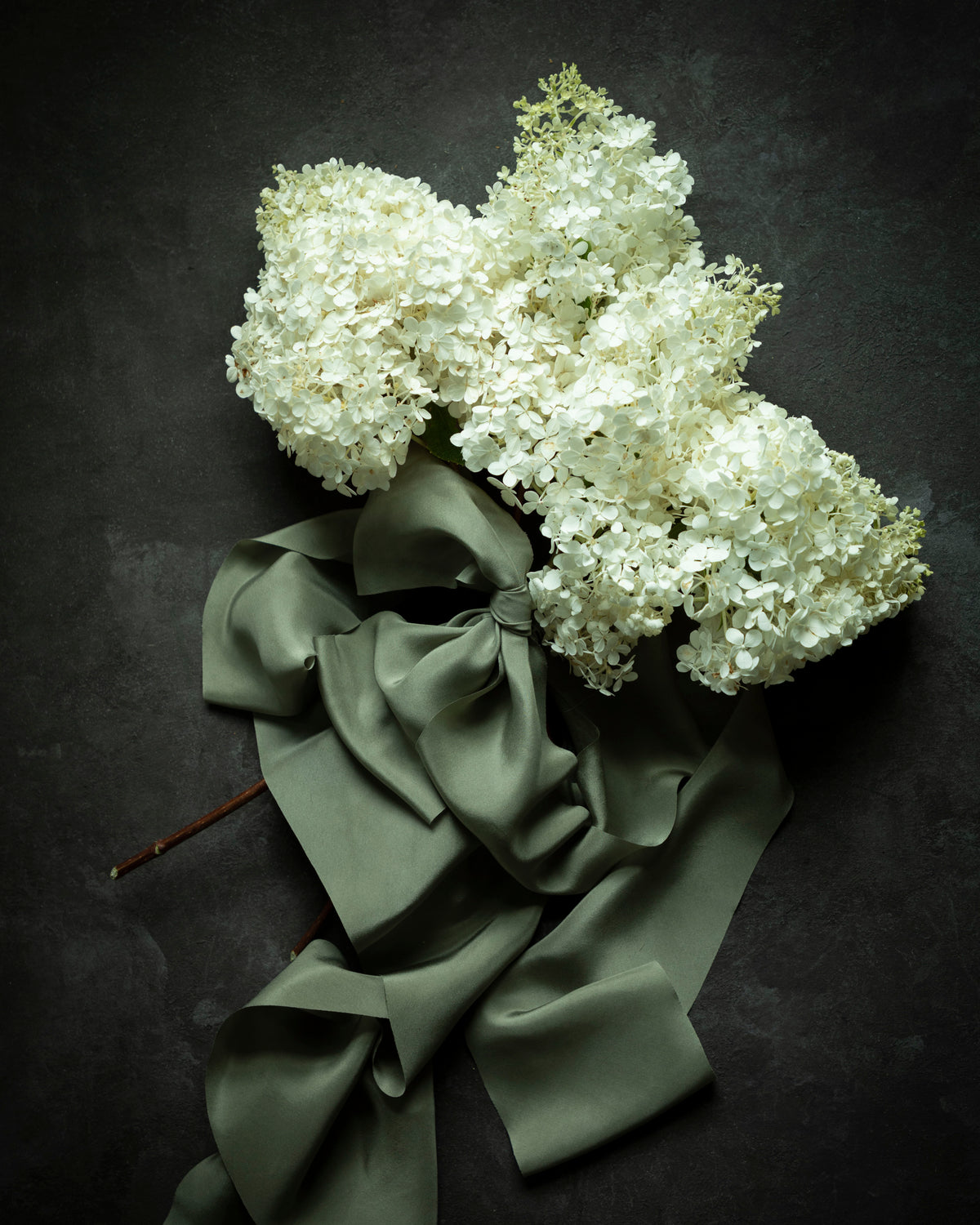 White flowers with a green ribbon on a dark background