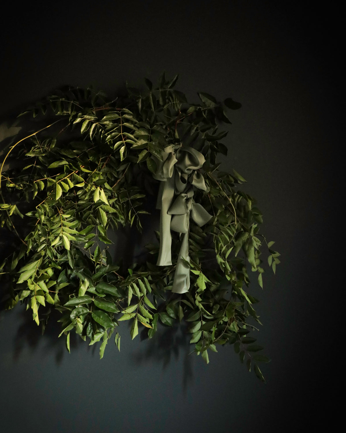 A wisteria green leafy wreath with a hanging olive-green ribbon bows, photographed against a dark charcoal wall.