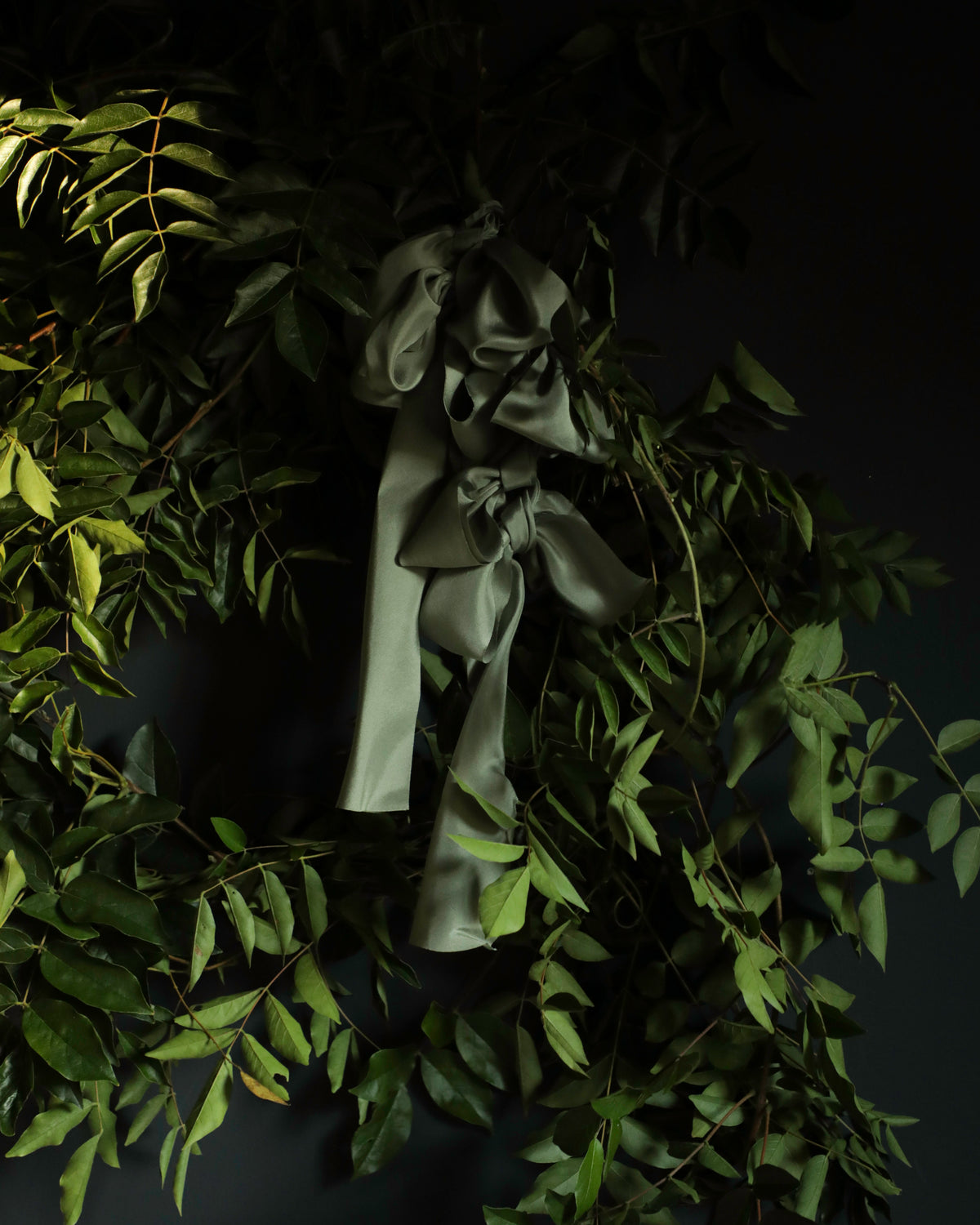 A dark olive green satin ribbon tied in a large bow and draped among green leaves against a very dark background.