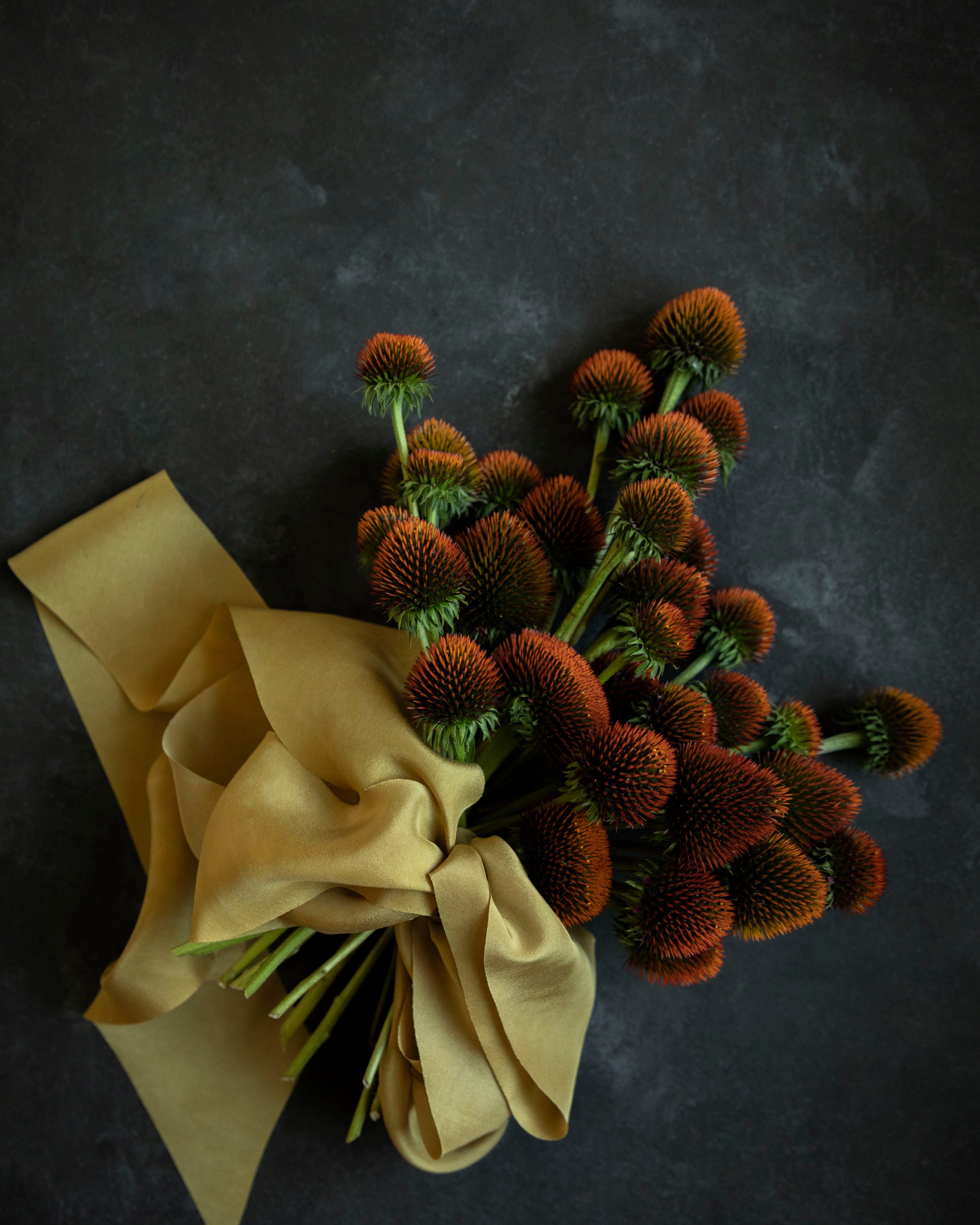 Bouquet of red flowers with a yellow ribbon on a dark background