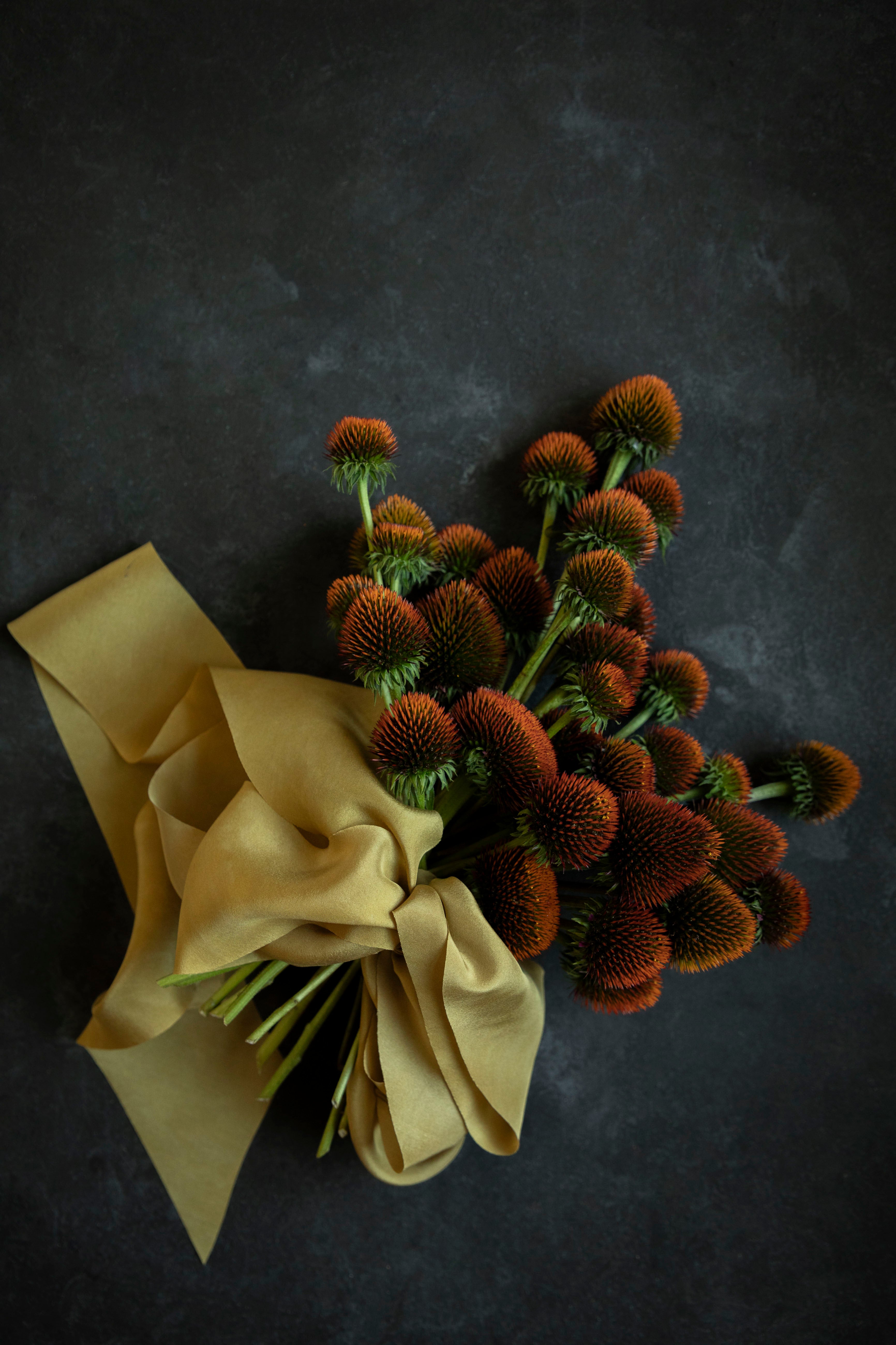Bouquet of red flowers with a yellow ribbon on a dark background