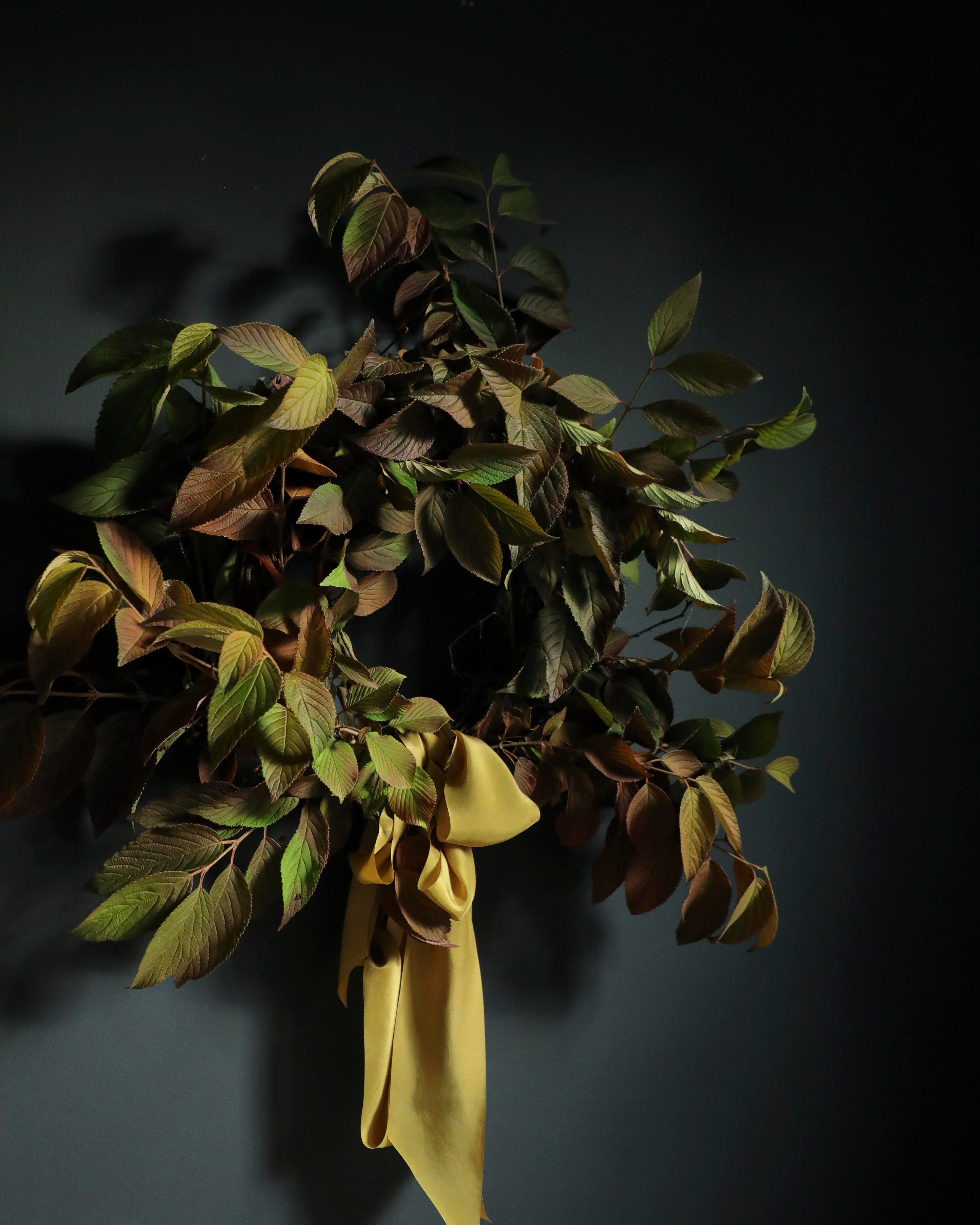 Dried leaves with a yellow ribbon against a dark background