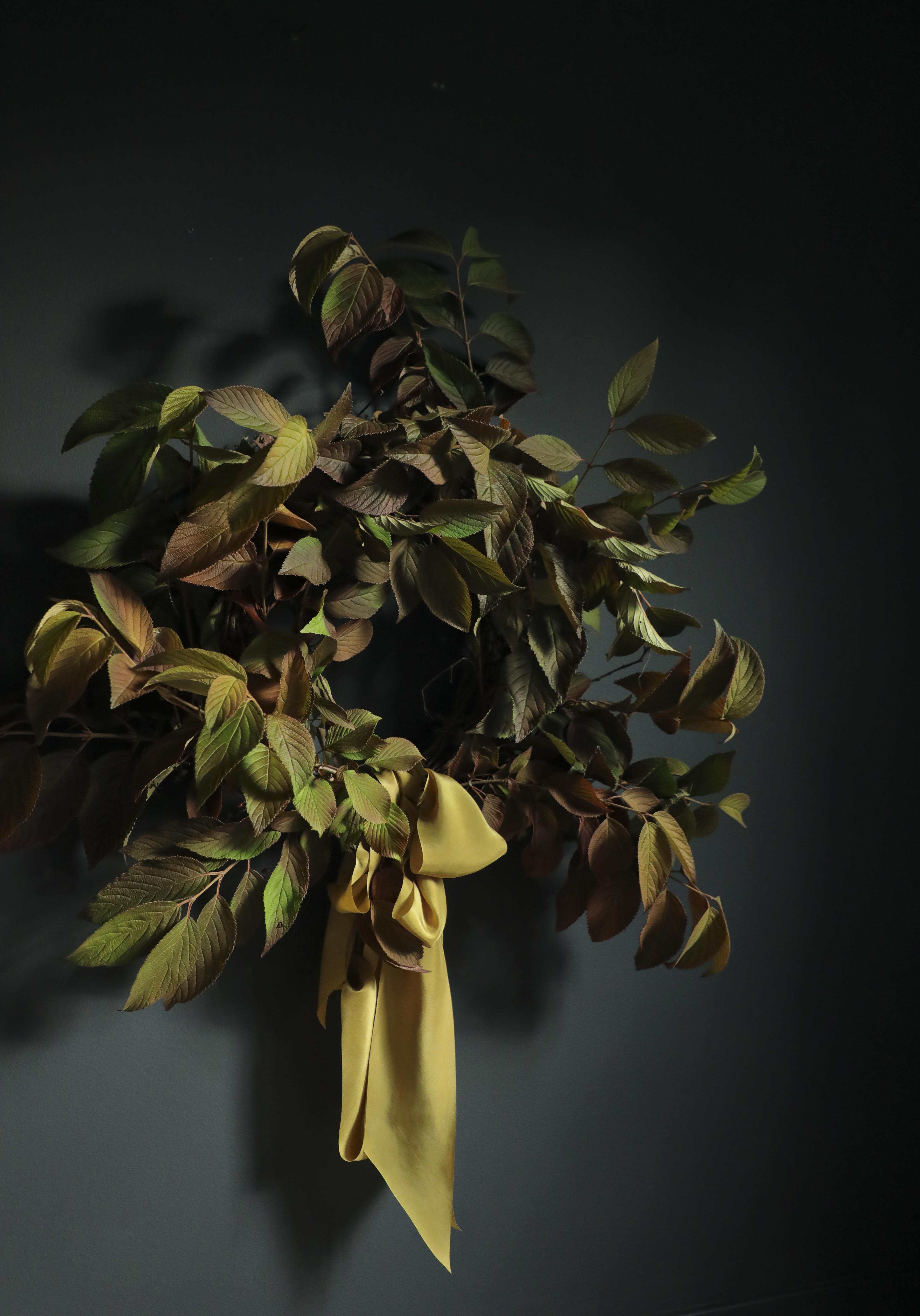 Dried leaves with a yellow ribbon against a dark background
