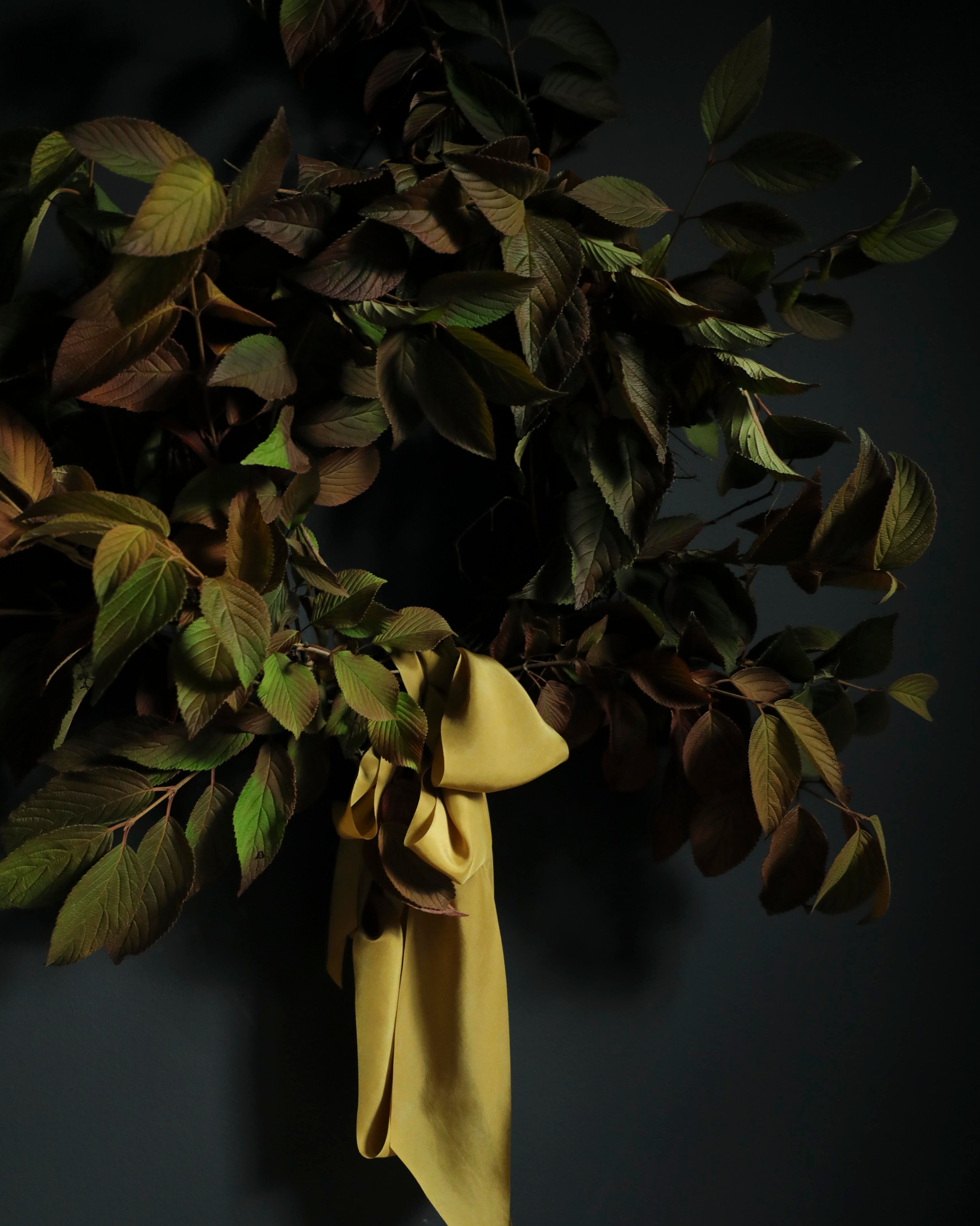 Bouquet of dried leaves with a yellow ribbon on a dark background