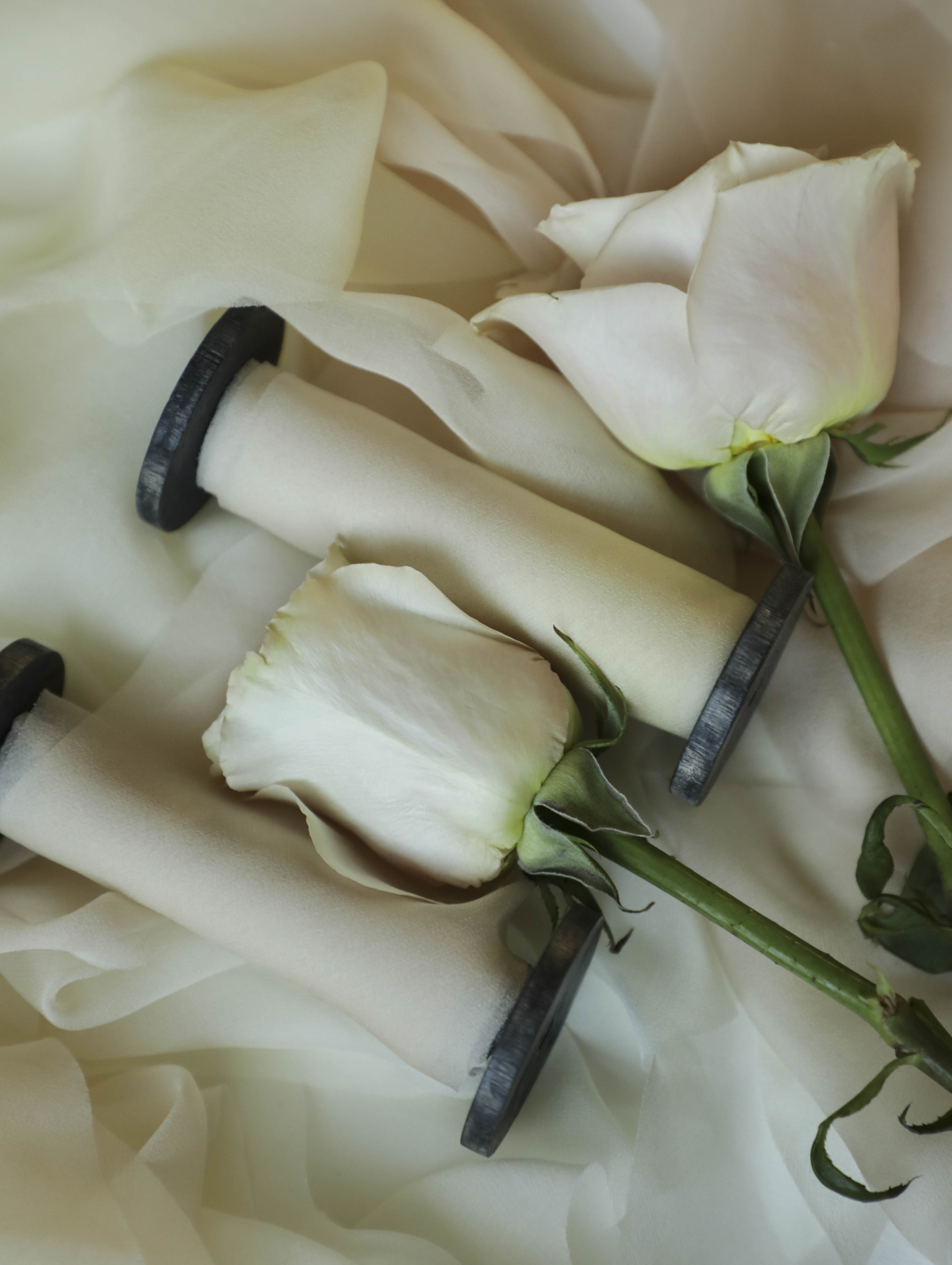 Blush bridal bouquet ombre silk ribbon to match rose petals