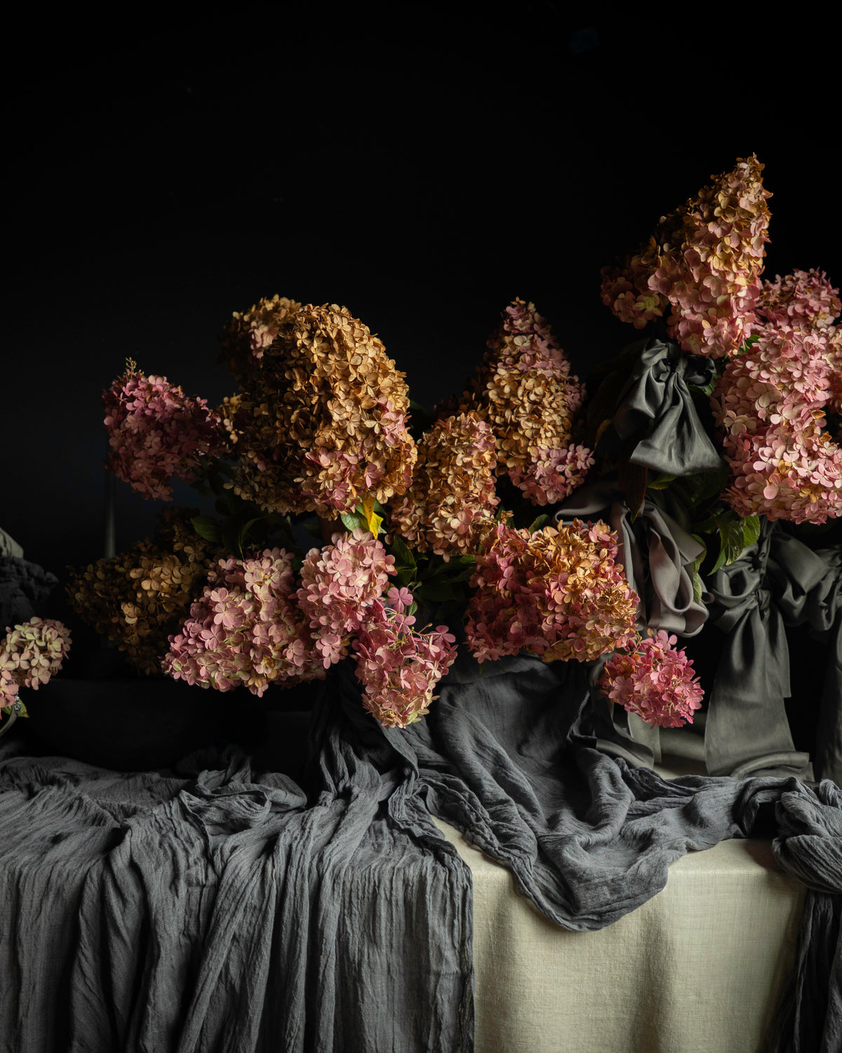 A still life arrangement of dried pink and brown hydrangea-like flowers draped over a table with gray fabric and white plates against a black background.