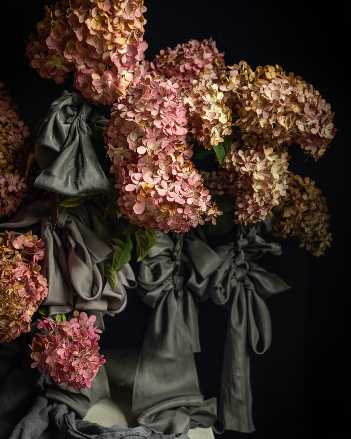 A bouquet of dried pink and cream hydrangeas tied with dark gray satin ribbons, set against a solid black background.
