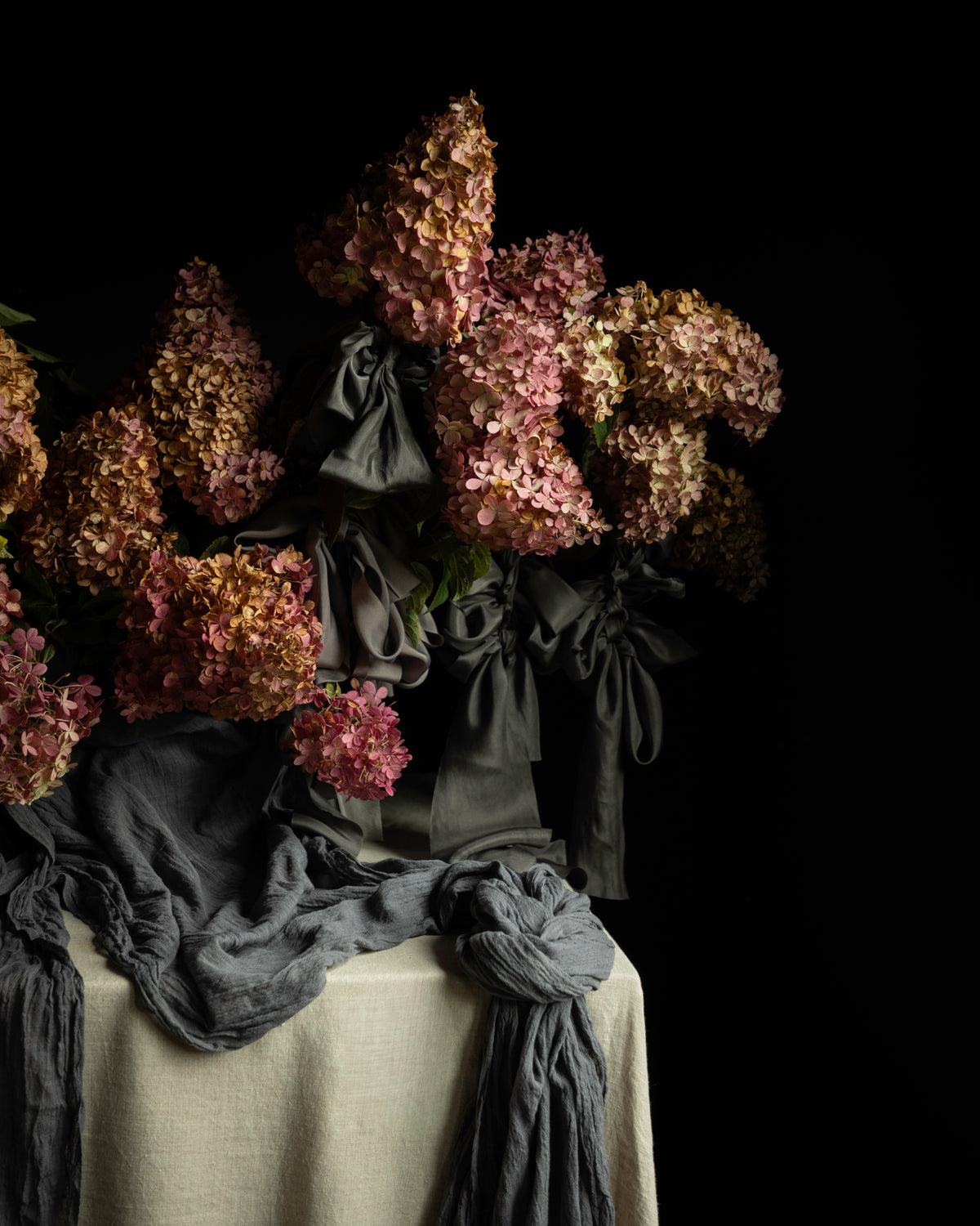 A still life arrangement of dried pink and mauve hydrangea flowers with dark gray fabric draping over a cream tablecloth against a solid black background.