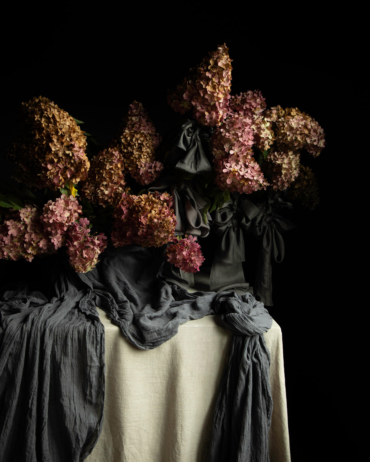 A still life arrangement of dried pink and bronze hydrangea blooms draped over a cream linen cloth with dark charcoal gray fabric, set against a solid black background.