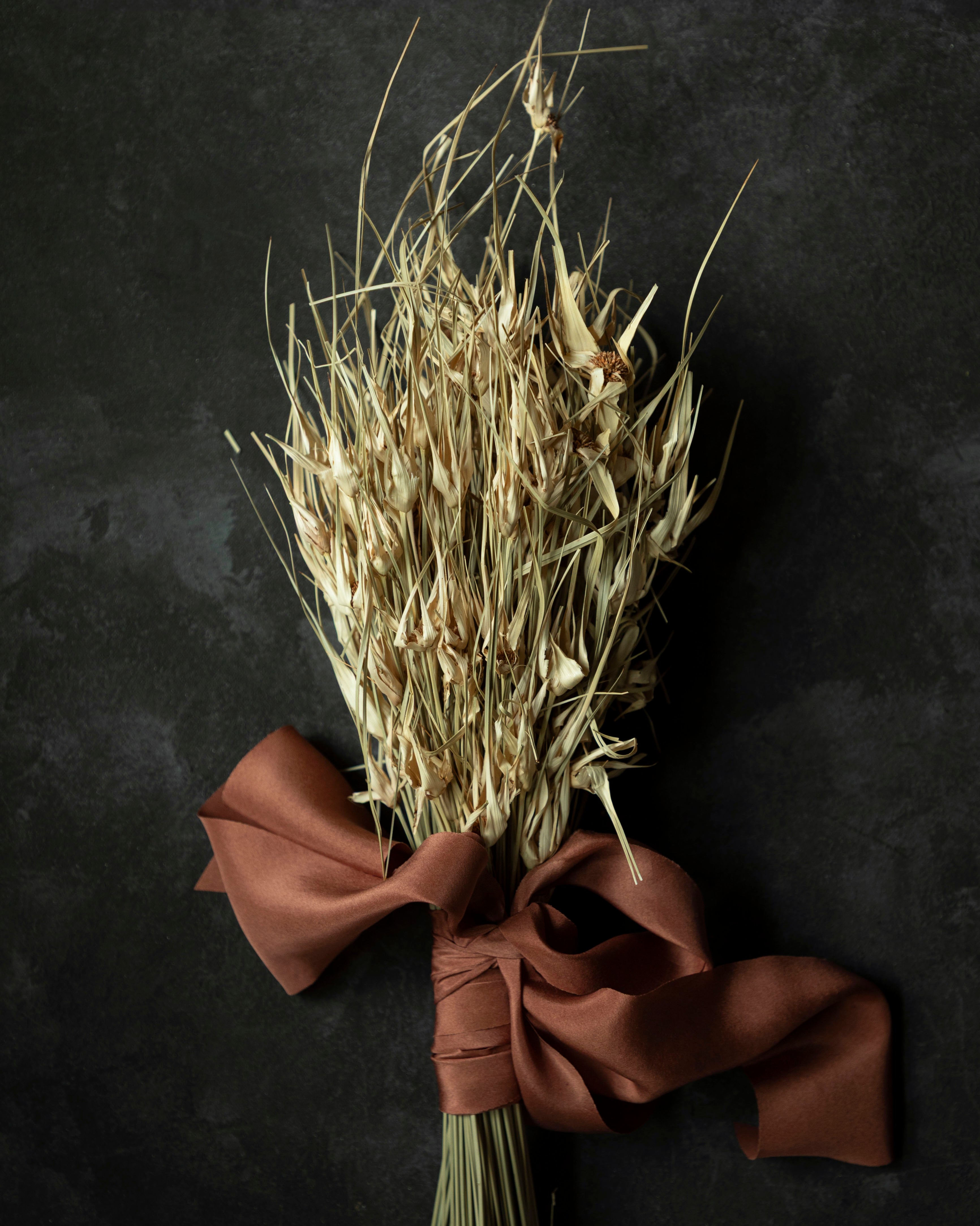 Bouquet of dried grasses tied with a copper colored silk ribbon on a dark background
