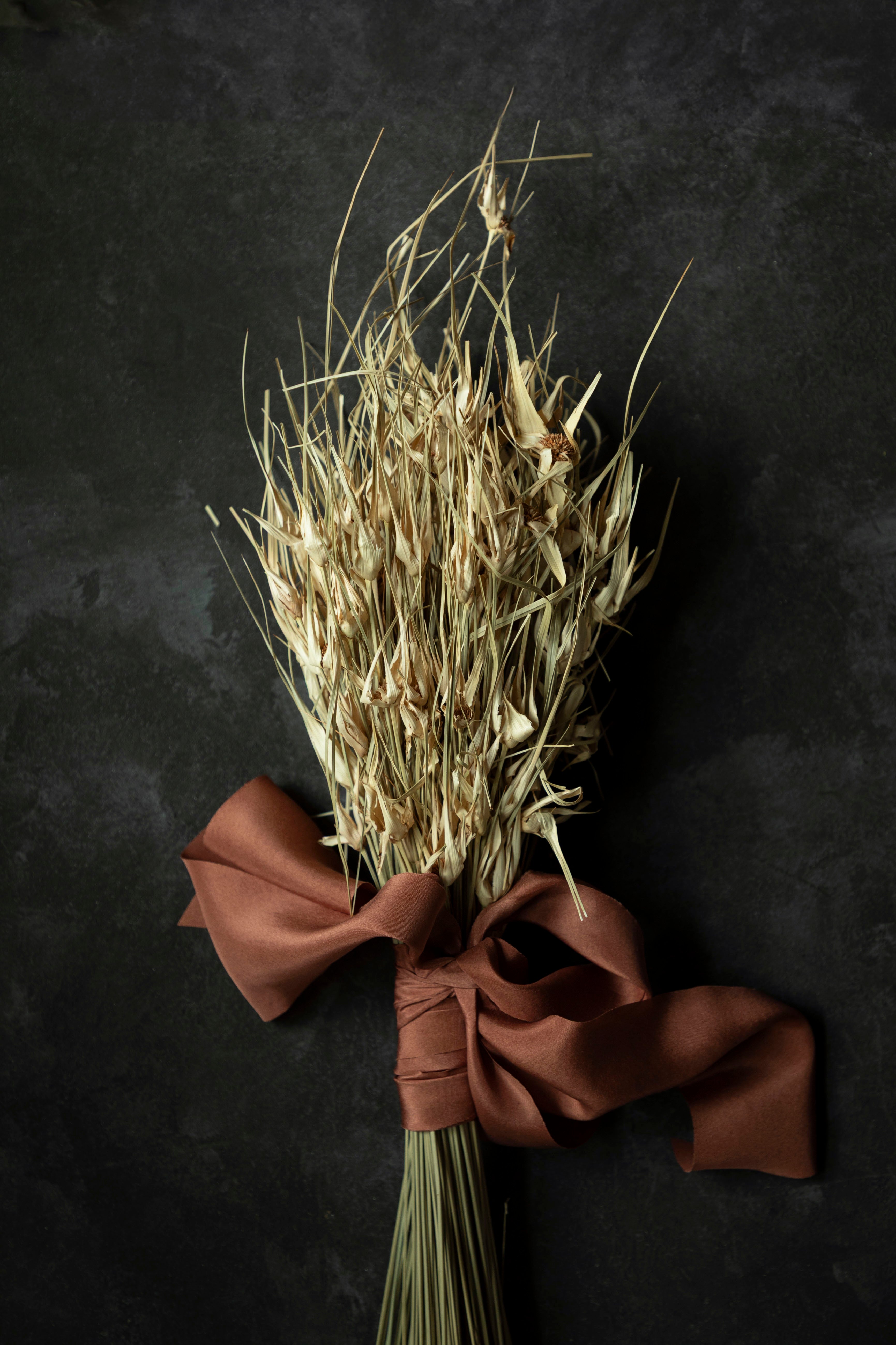 Bouquet of dried grasses tied with a copper colored silk ribbon on a dark background