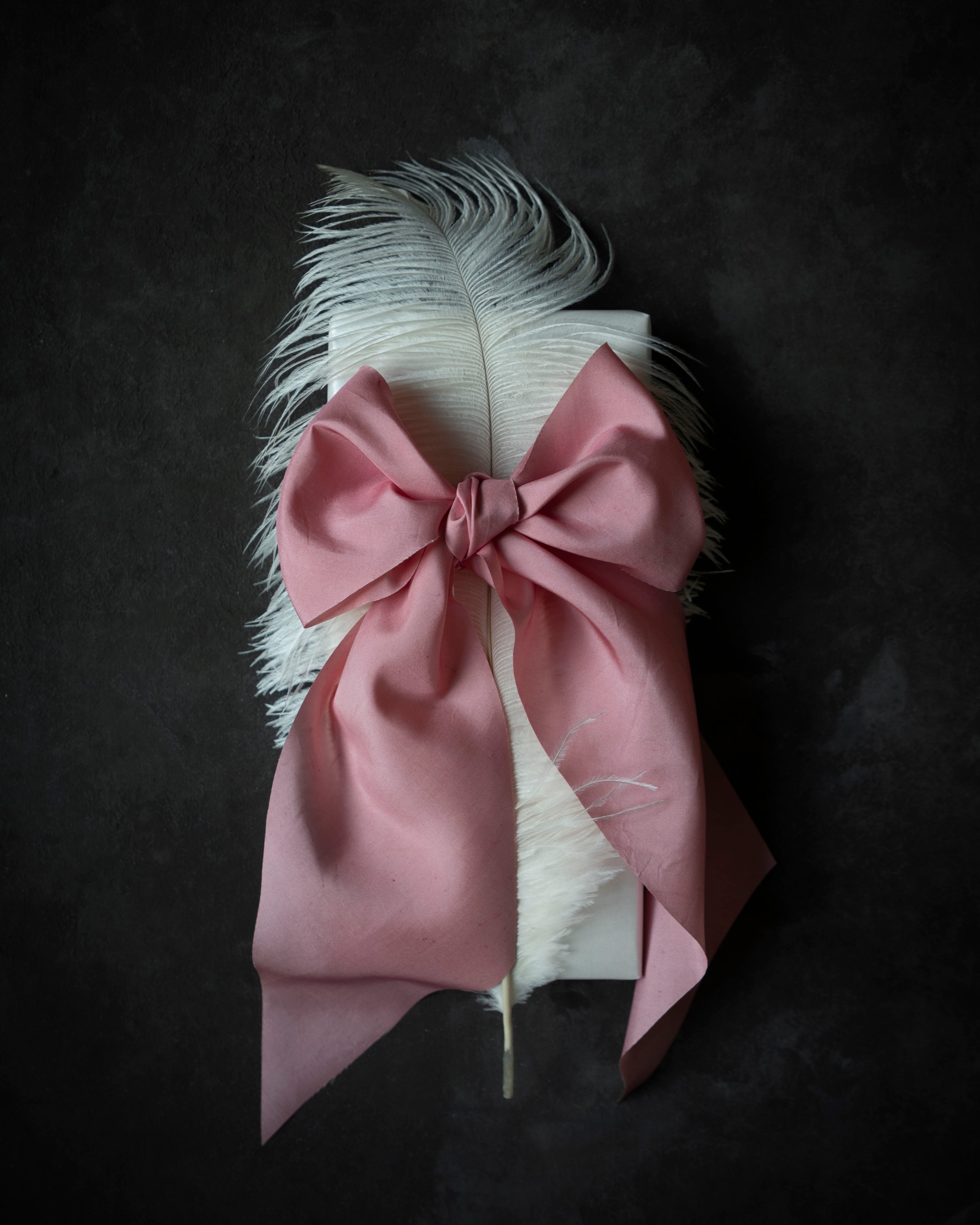 Sweetheart Pink bow with white feathers on a dark background