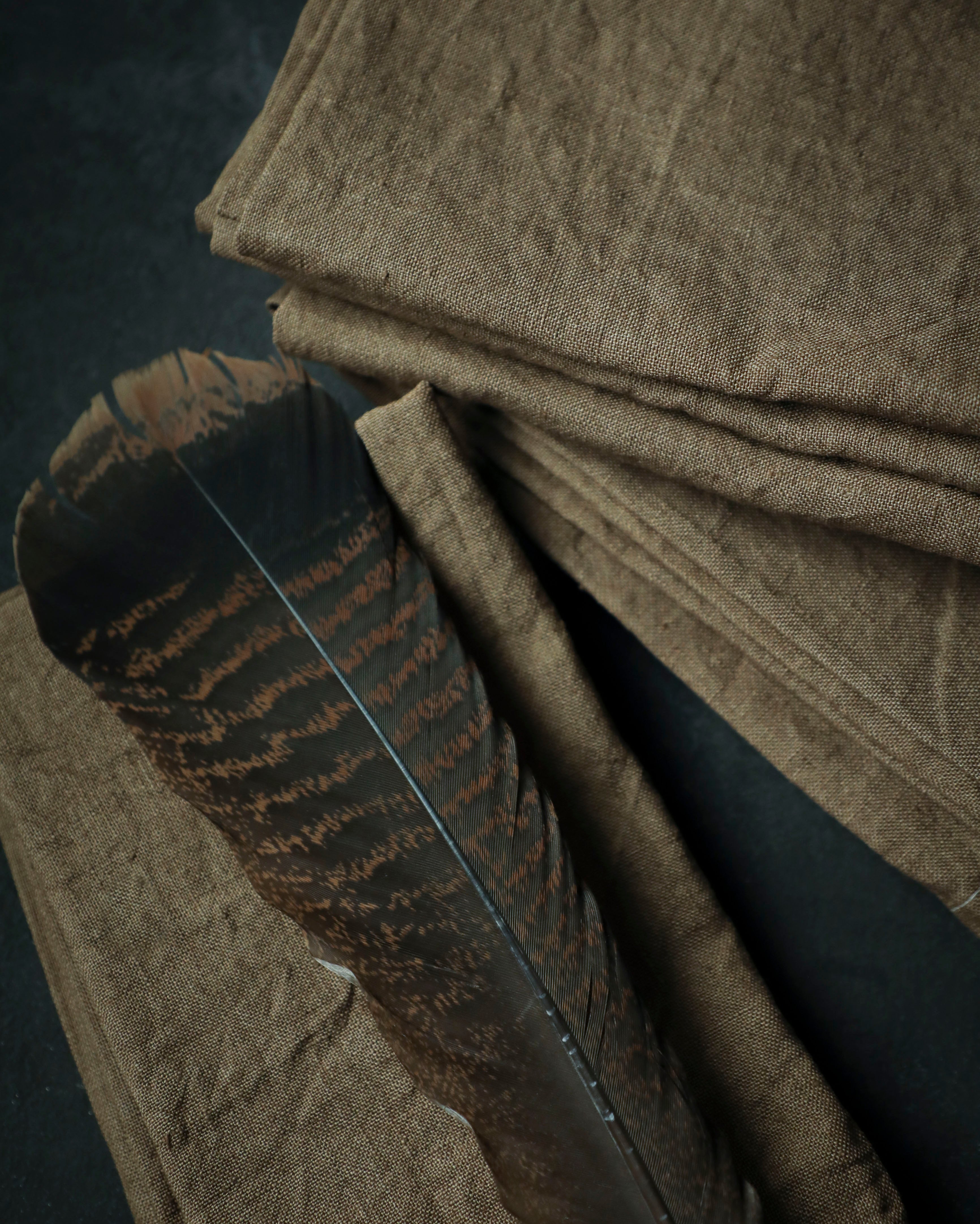 Brown fabric with a feather on a dark background