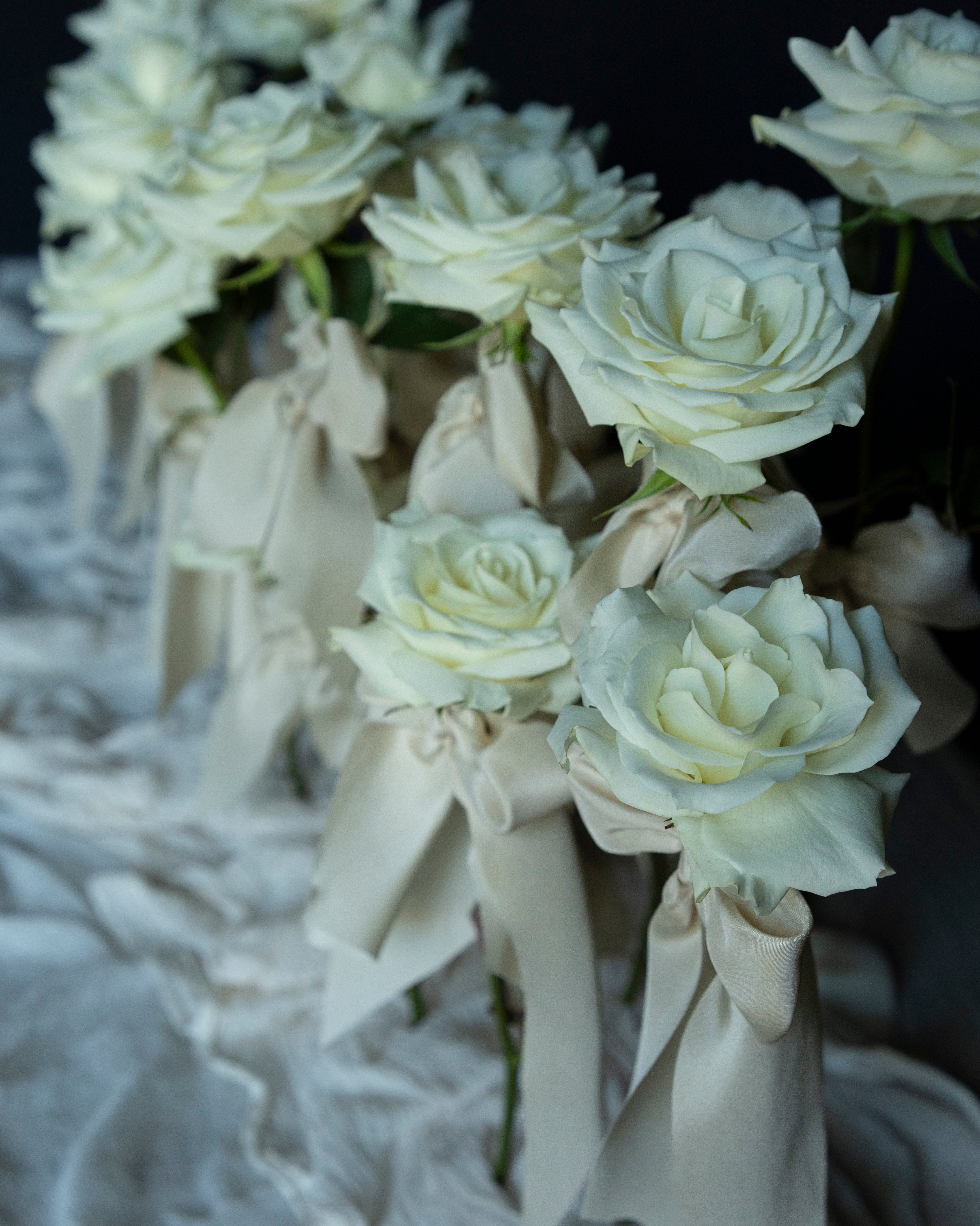 white roses and silk ribbons