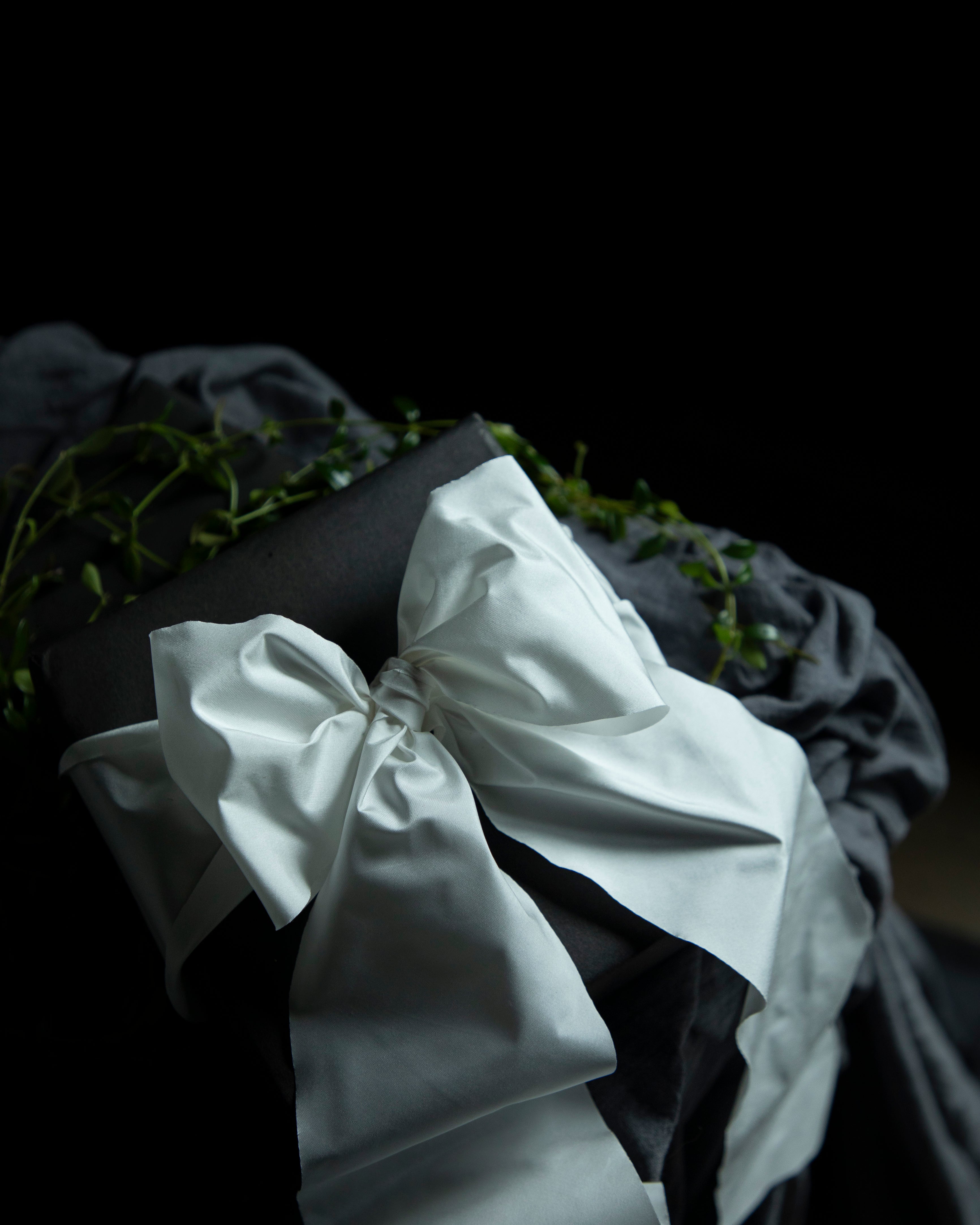 Close-up of a white bow on a black background