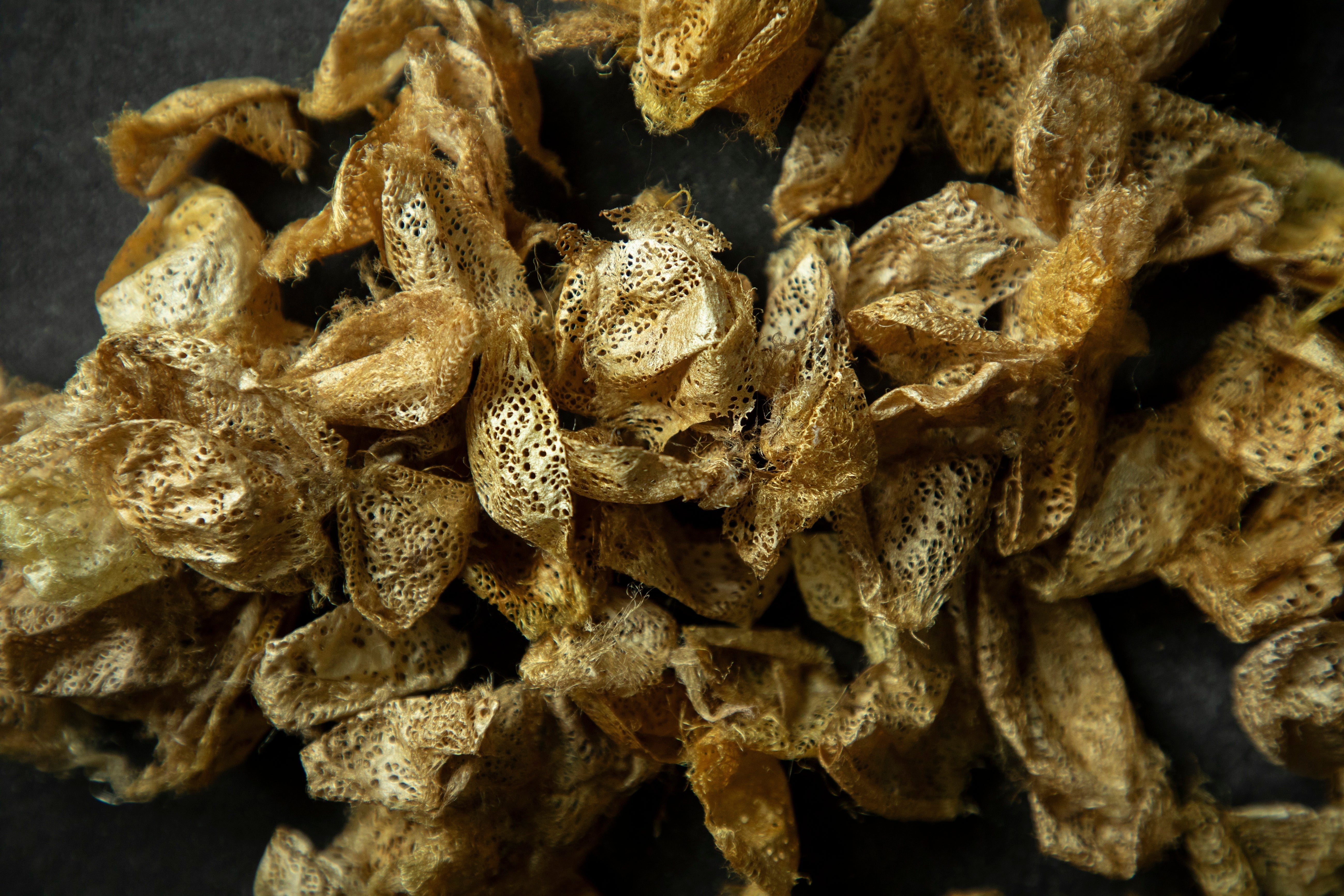 Uncover the Hidden Chemicals in Standard Silk