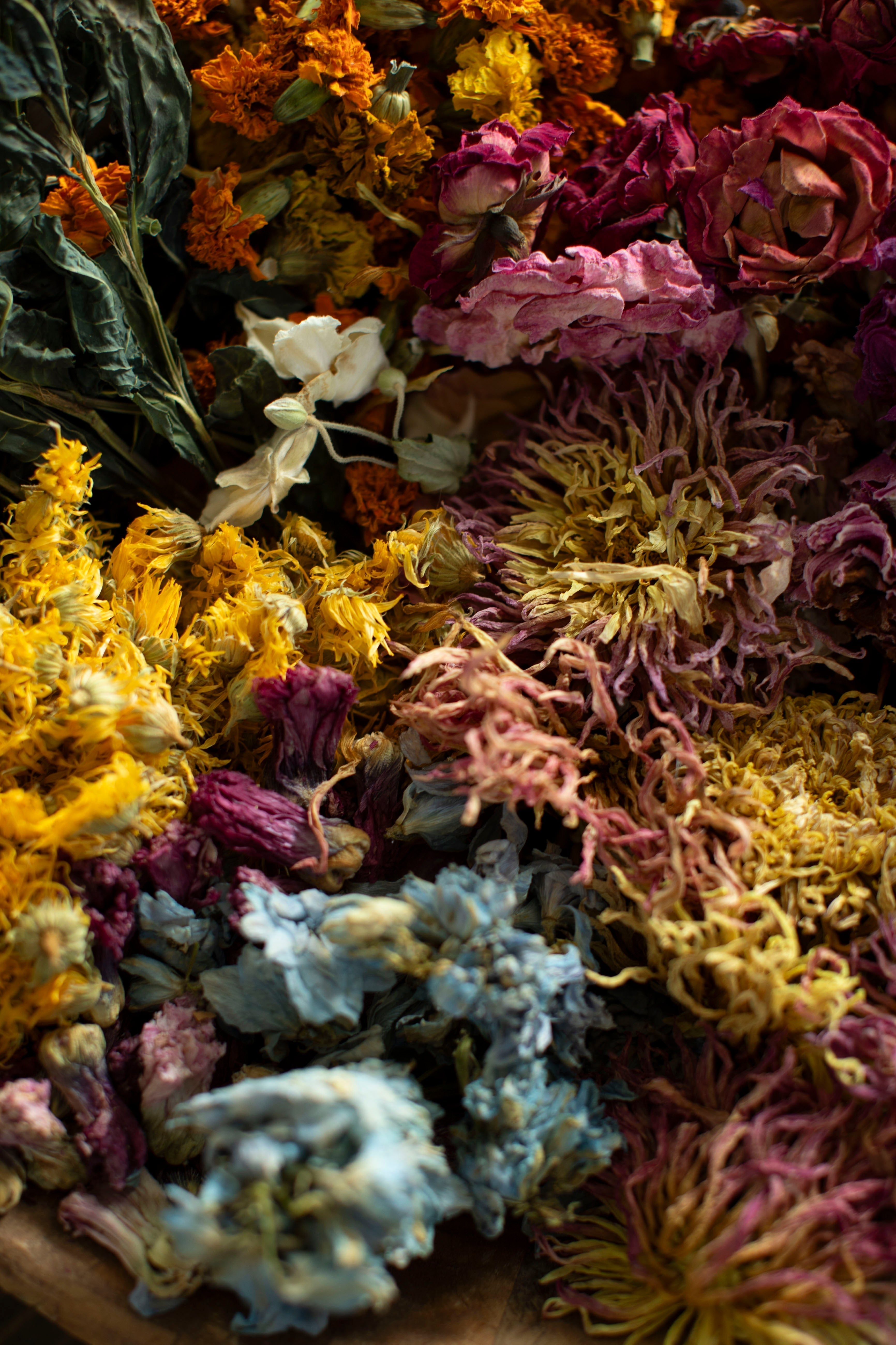 The Hidden Cost of Color: Toxic Chemicals in Conventional Textile Dyes