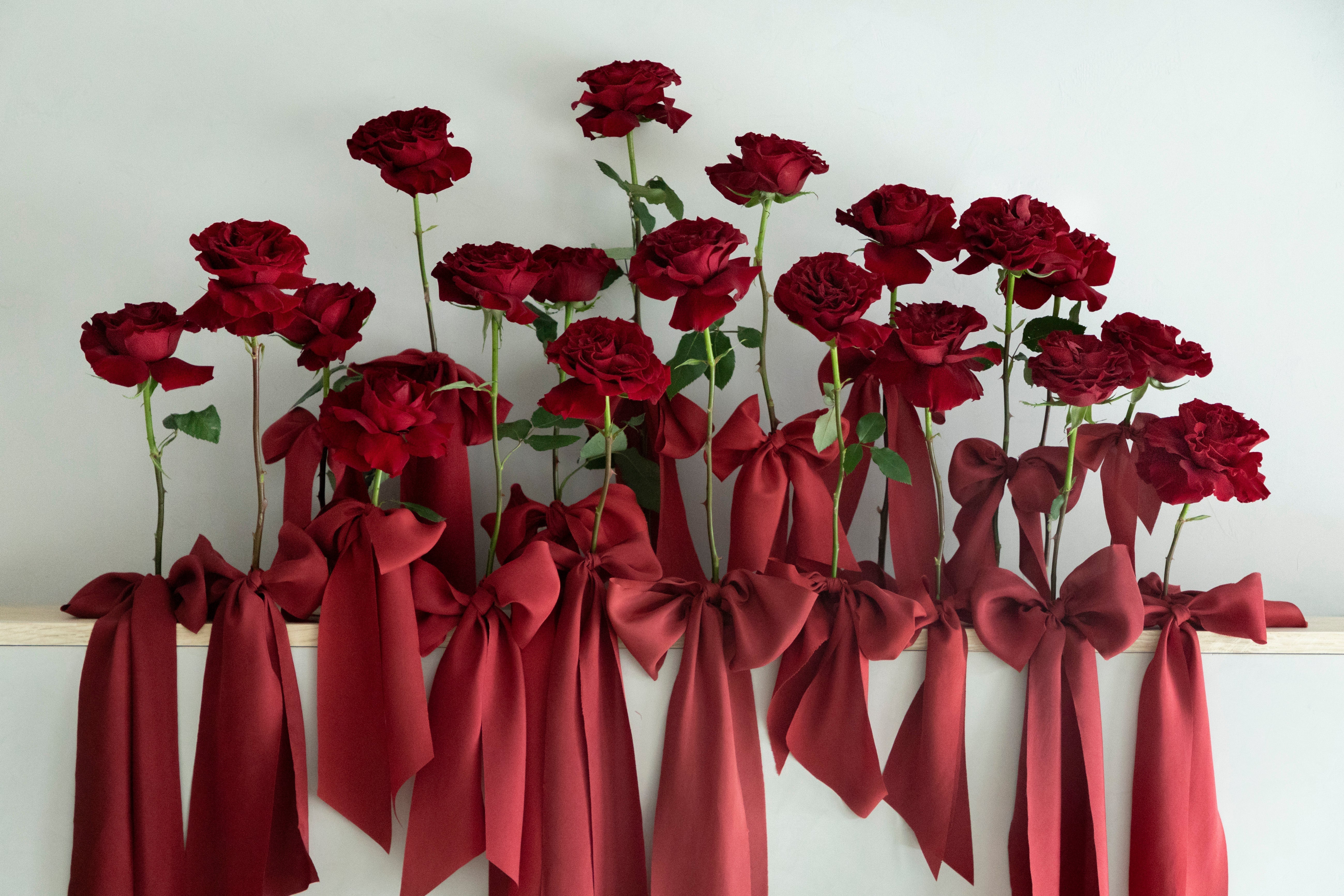 The Symbolism of RED – Silk & Willow