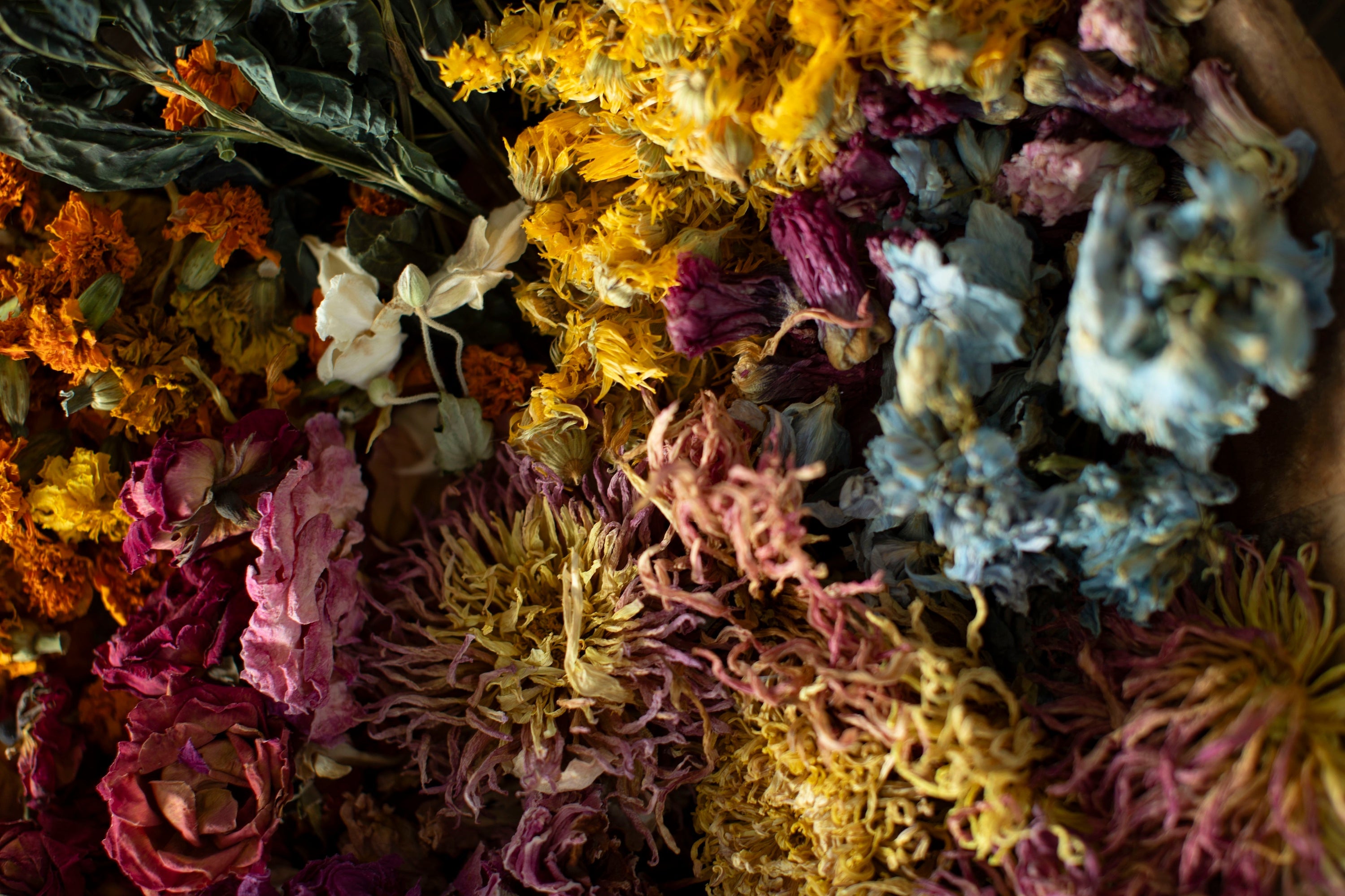 Dried botanical and flowers used in creating our palette of naturally dyed silk ribbons
