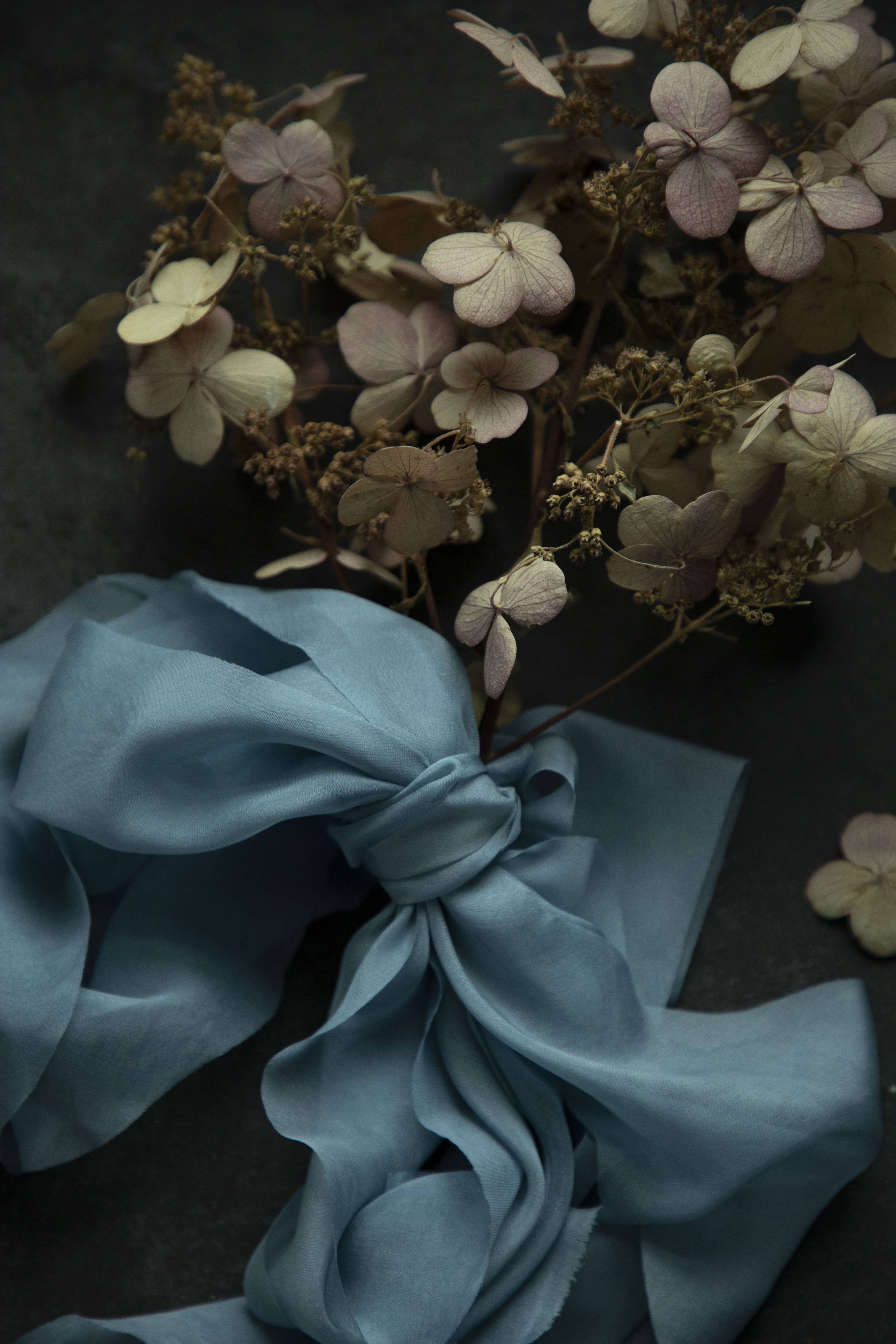 Duchess Blue silk ribbon bow with dried flowers on a dark background